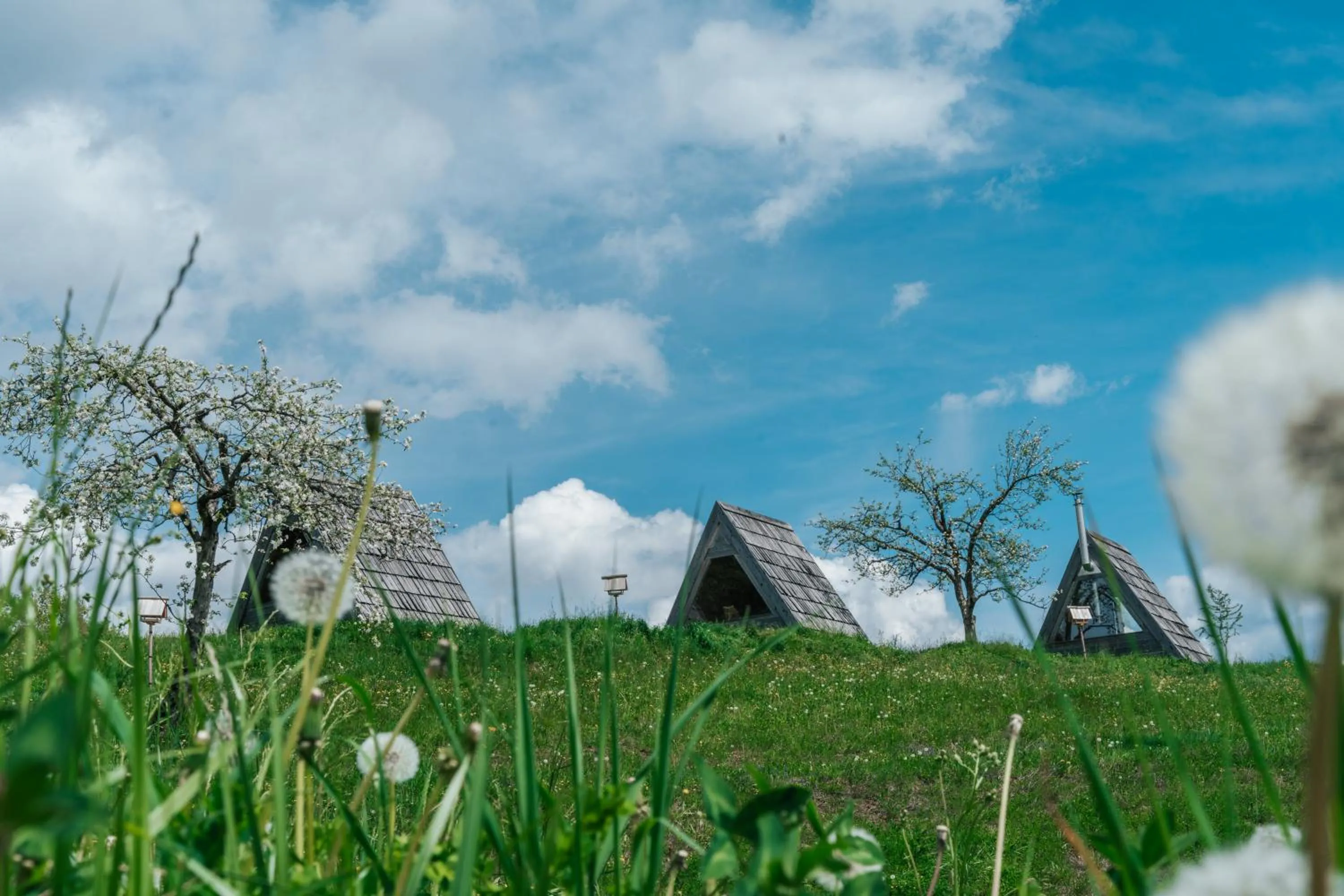Natural landscape in Eko Glamping Resort Krištof
