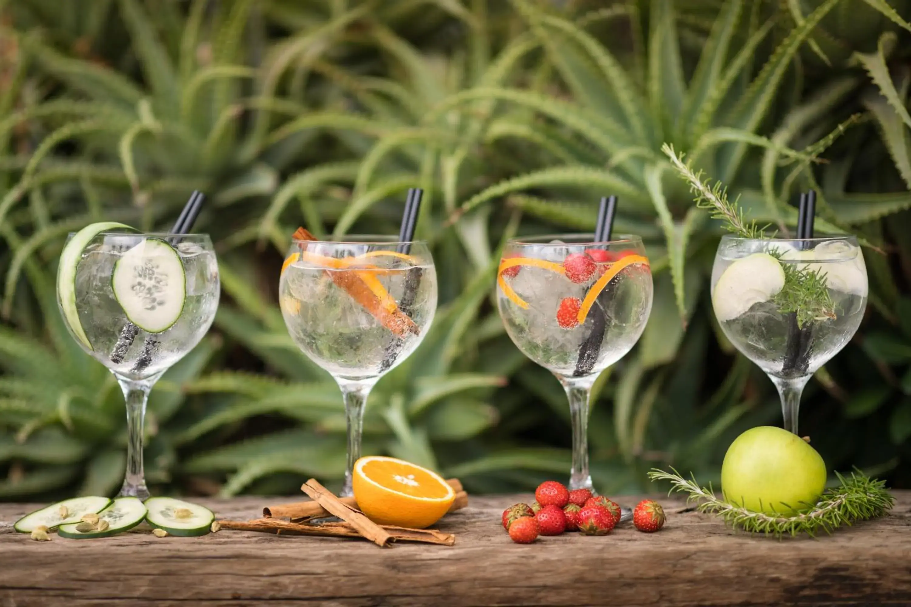 Lounge or bar in htop Platja Park #htopFun Lounge or bar in htop Platja Park #htopFun