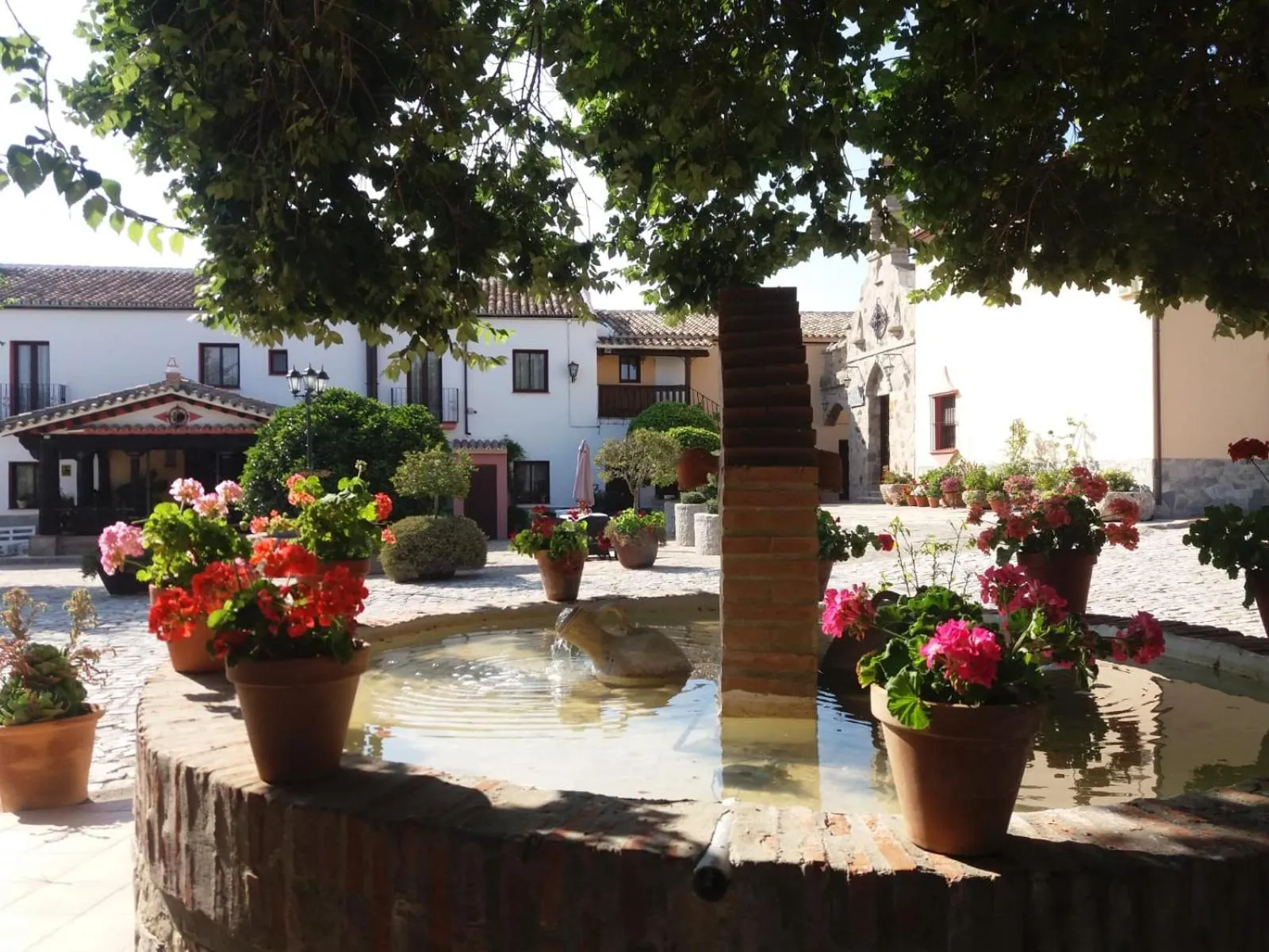 Patio in Cortijo Salinas