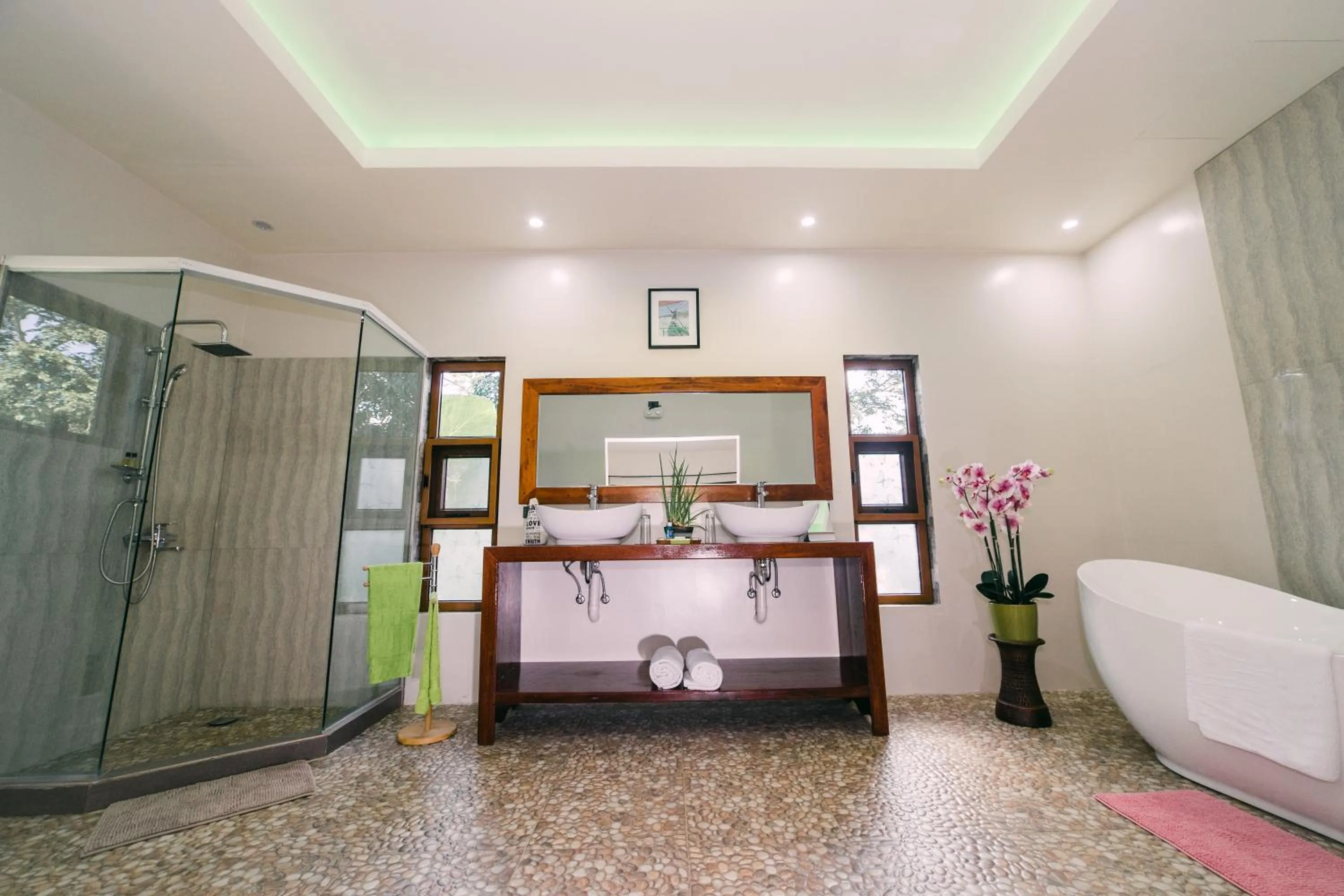 Shower in Denika's Suites