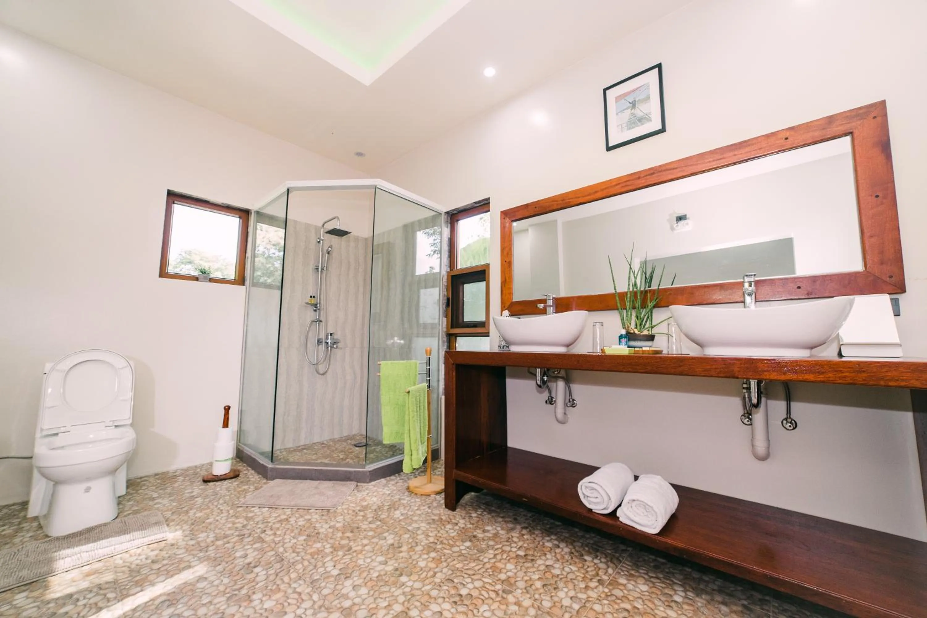 Shower in Denika's Suites