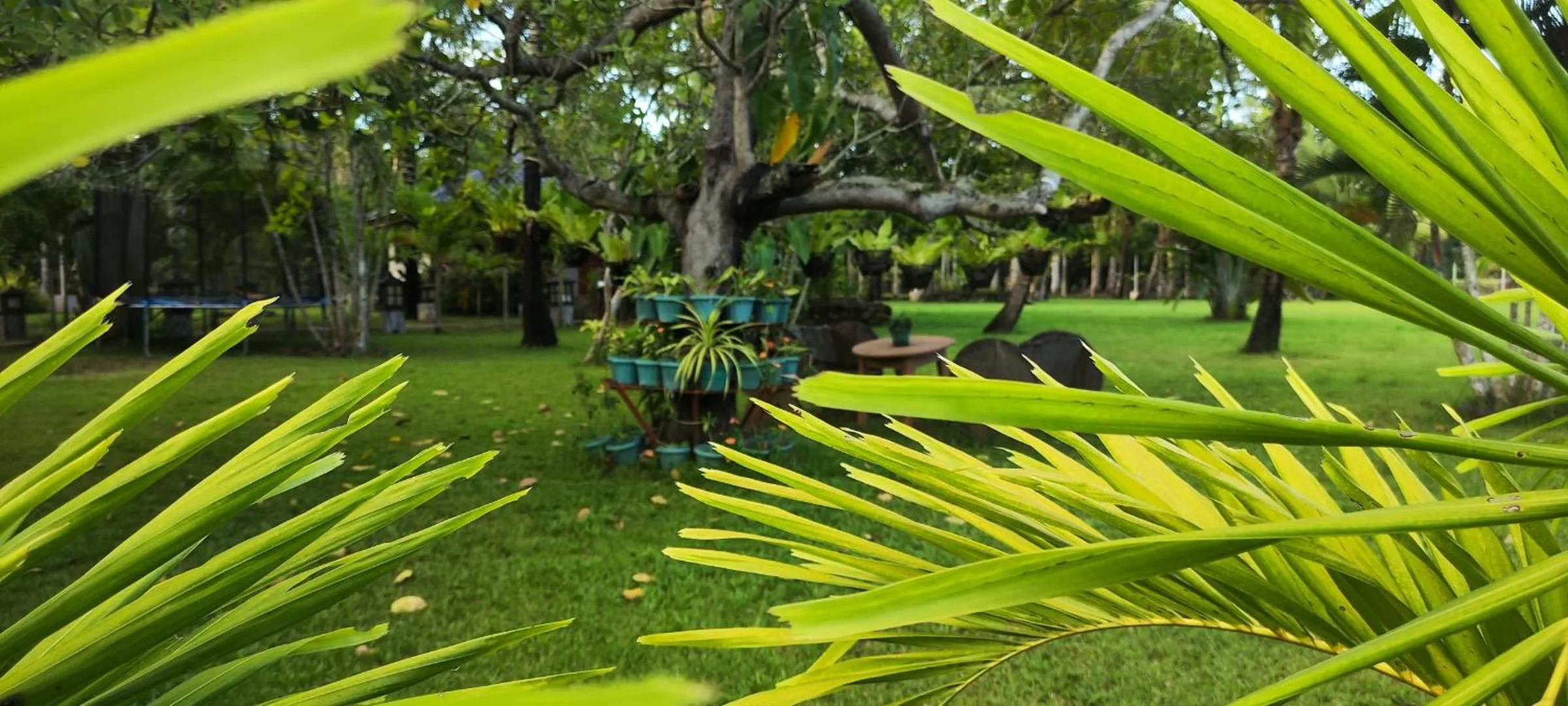 Natural landscape in Denika's Suites