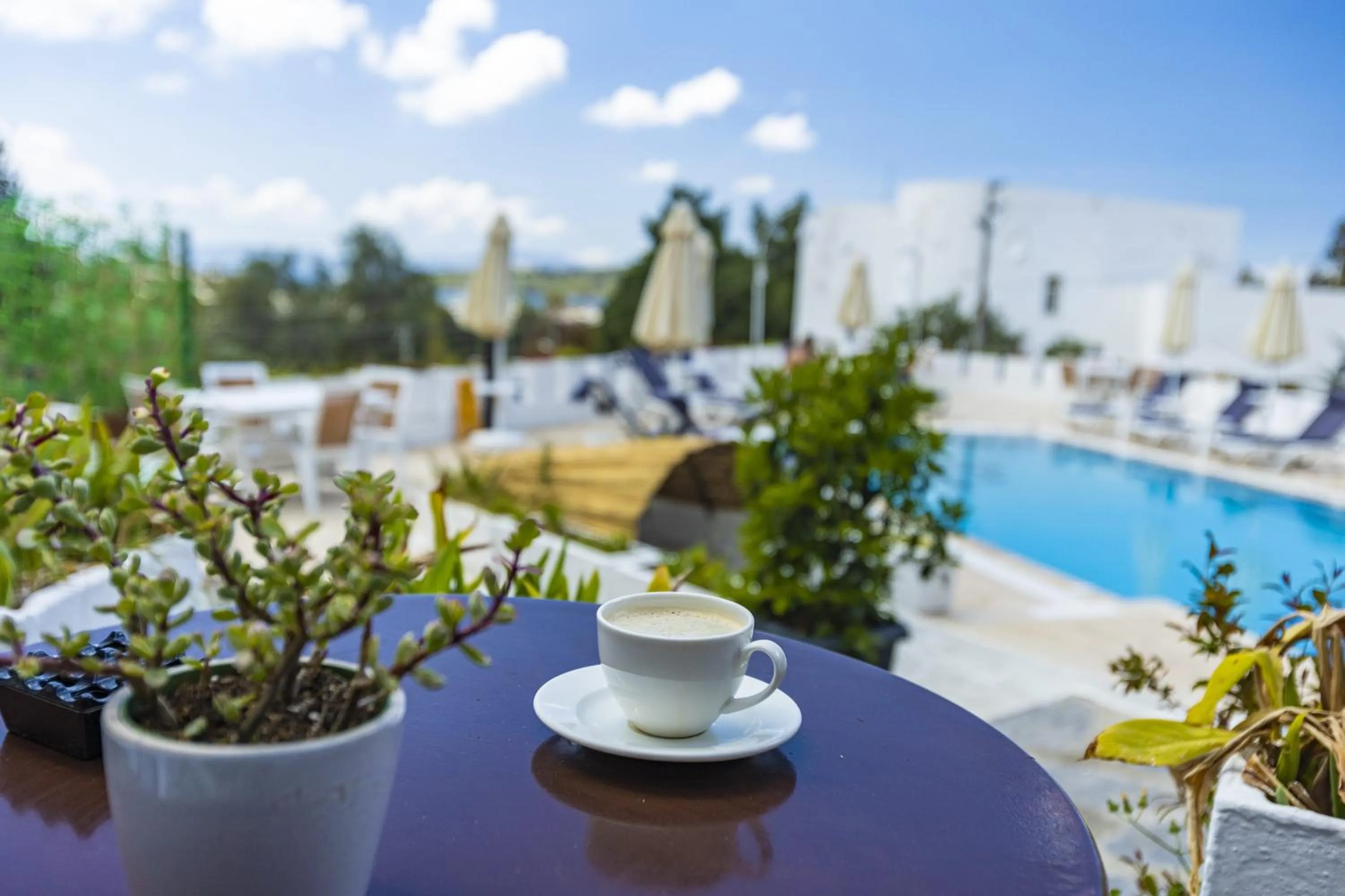 Patio in Bodrum Vera Hotel