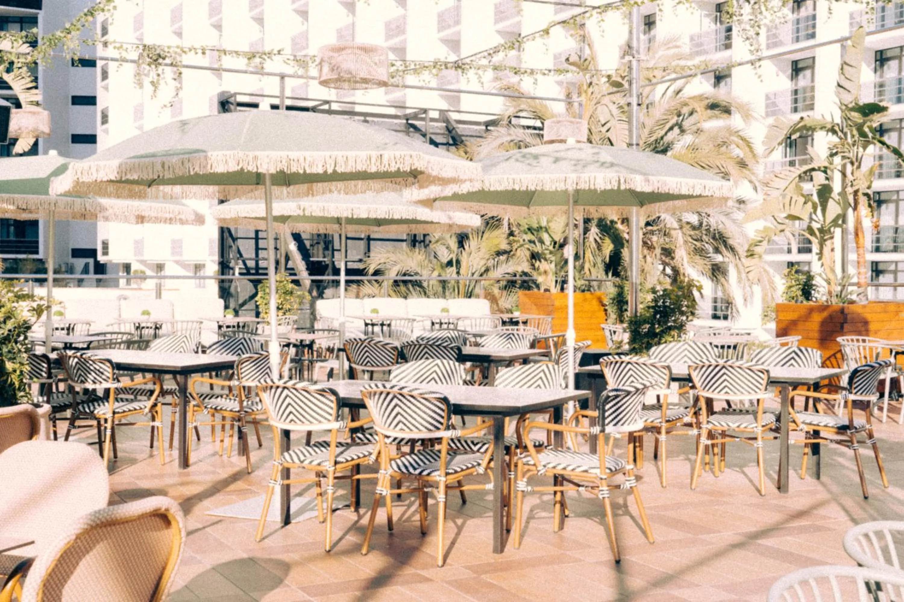 Lounge or bar in Marina Resort Benidorm - The Original Benidorm Vibe