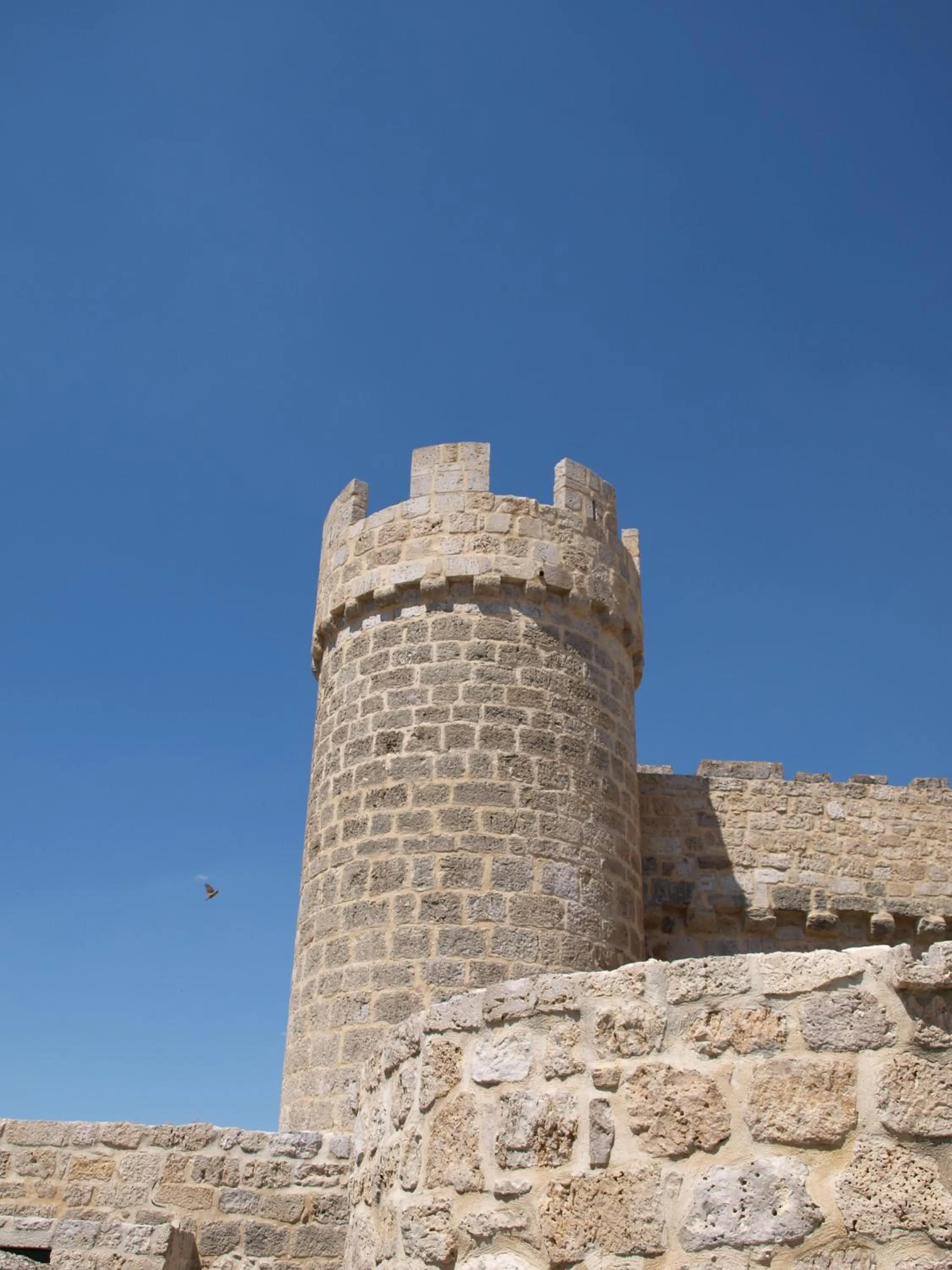 Facade/entrance in Señorio de Olmillos