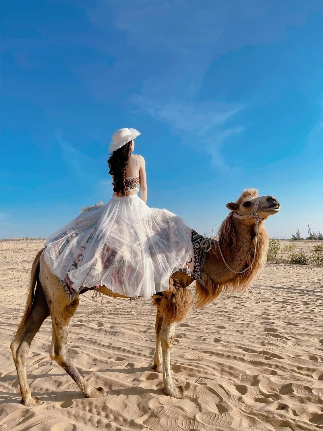 Natural landscape in RUBENS BOUTIQUE HOTEL