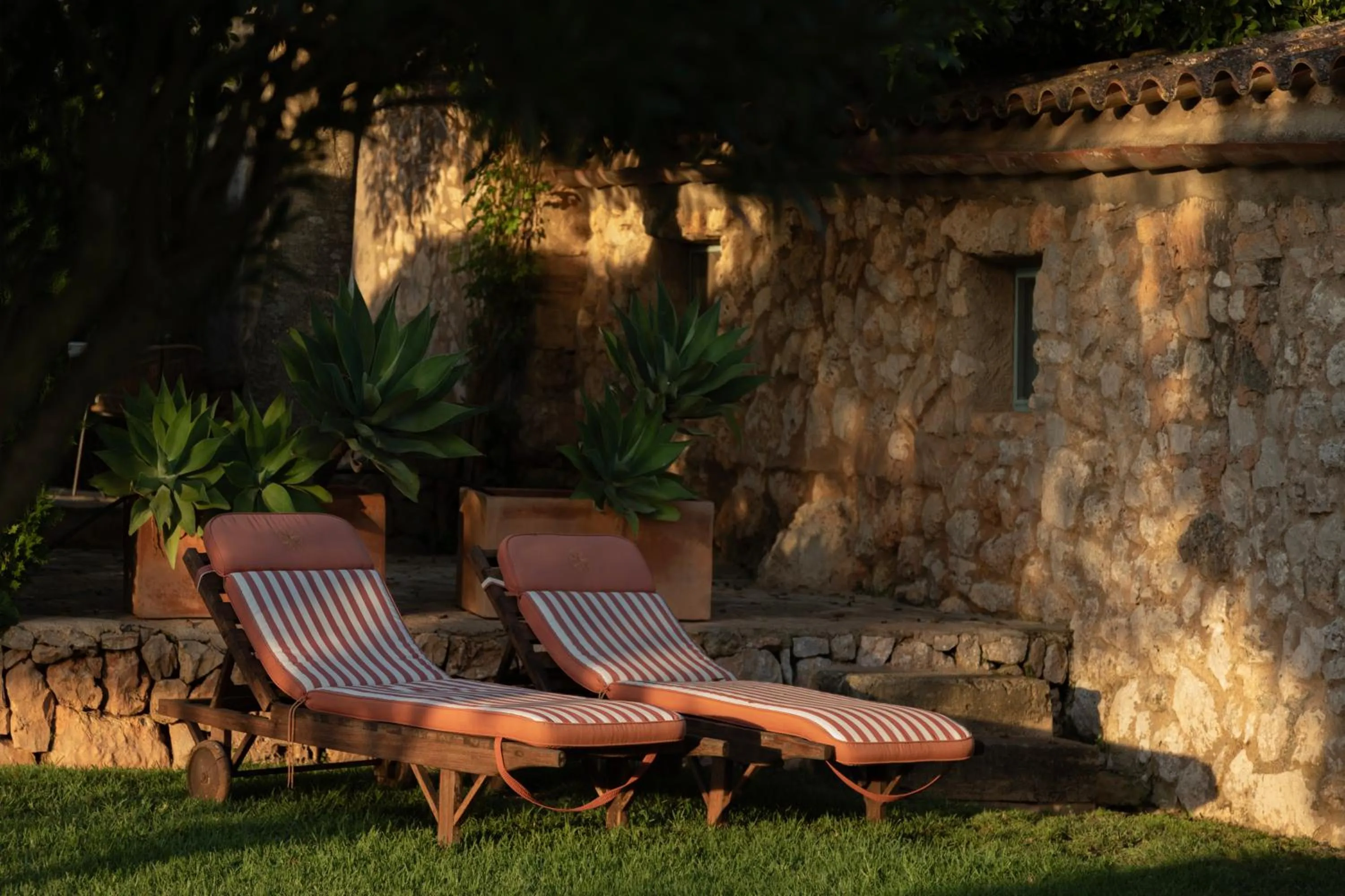 Garden in Reserva Rotana Golf Resort