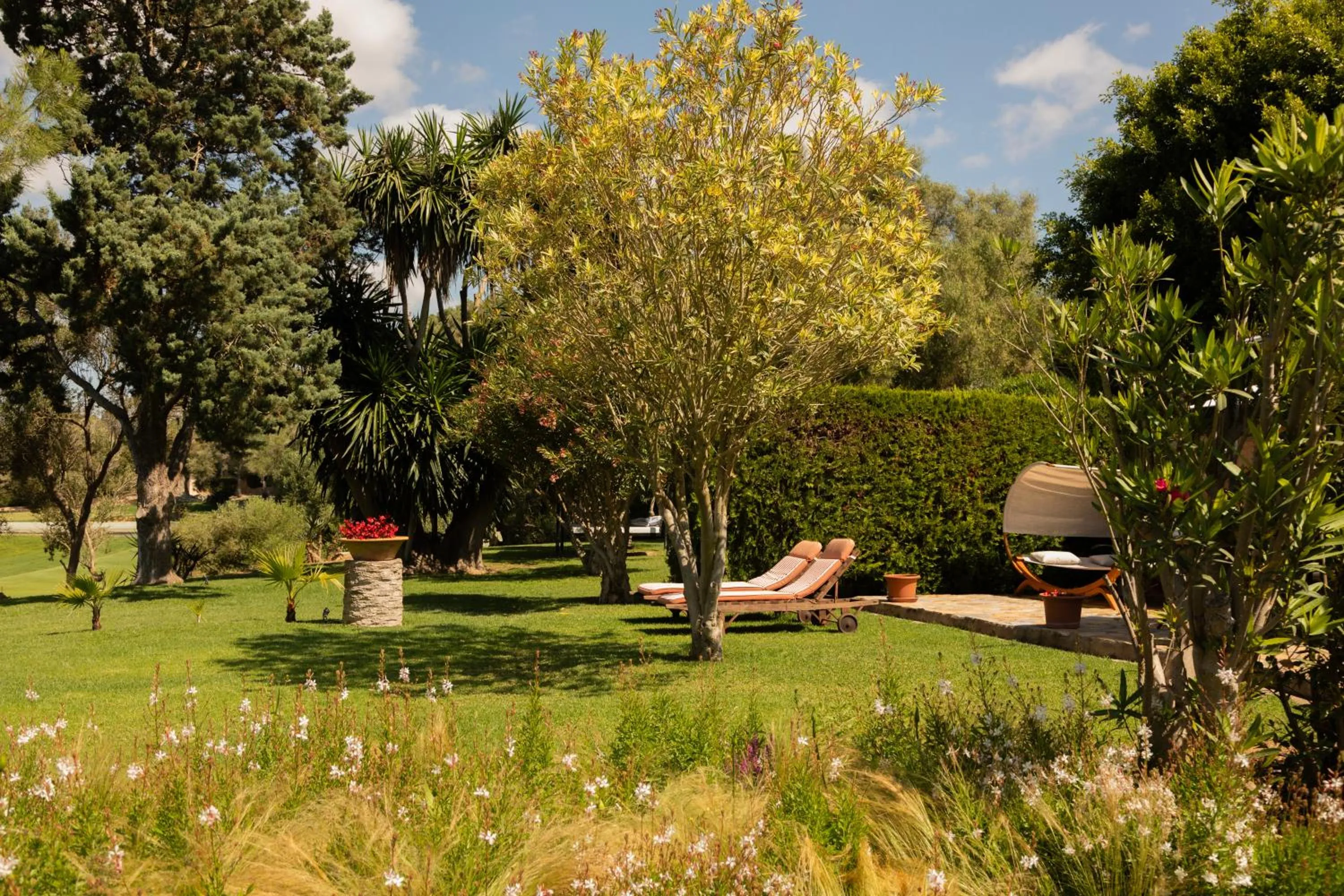 Garden view in Reserva Rotana Golf Resort