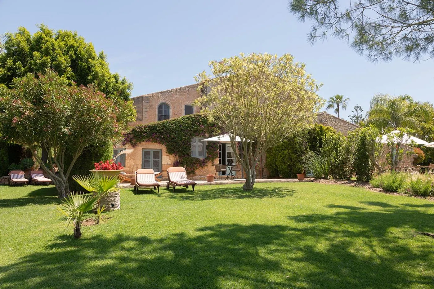 Garden in Reserva Rotana Golf Resort