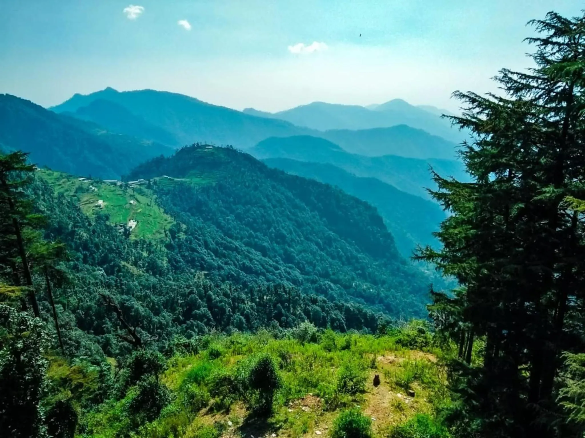 Natural landscape in LA Riqueza Dhanolti View - Mountain View Rooms - Near to Eco Park & Surkanda Devi Temple