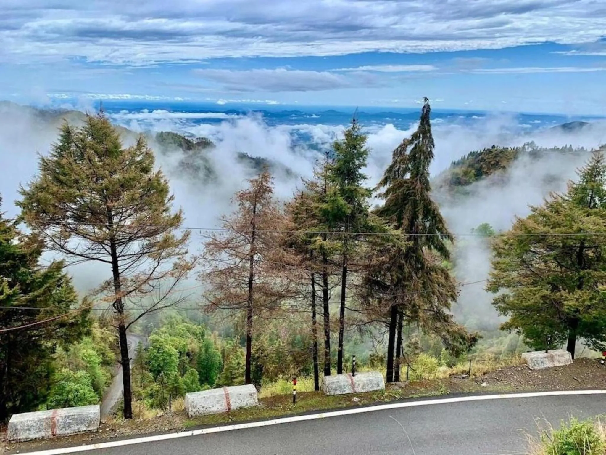 Natural landscape in LA Riqueza Dhanolti View - Mountain View Rooms - Near to Eco Park & Surkanda Devi Temple