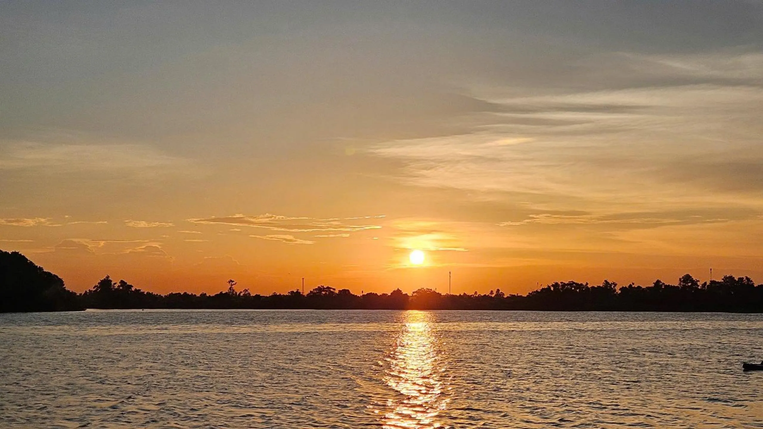 Natural landscape in La Y Riverview