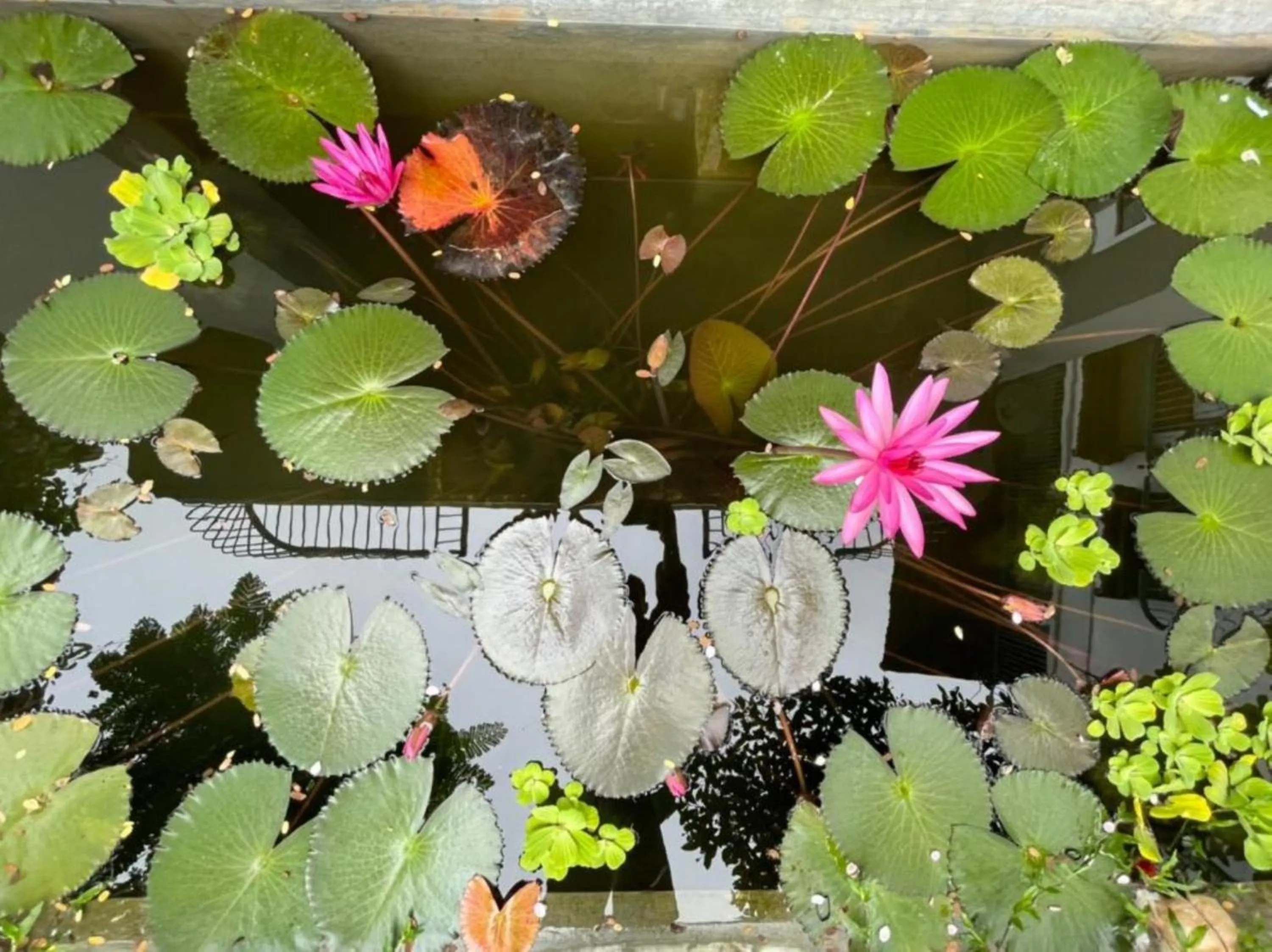 Spring in La Y Riverview