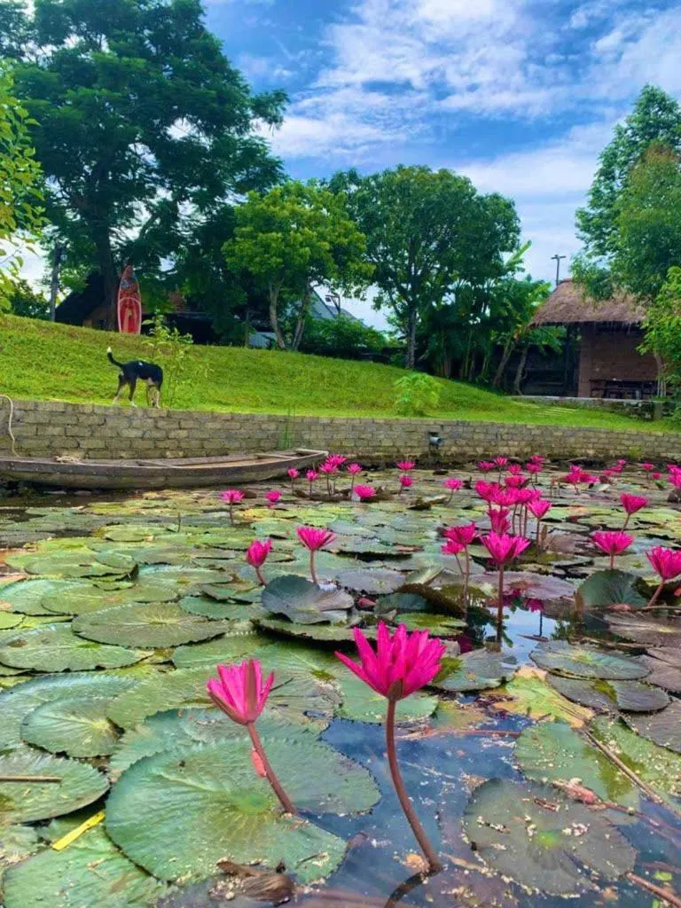 Property building in La Y Riverview