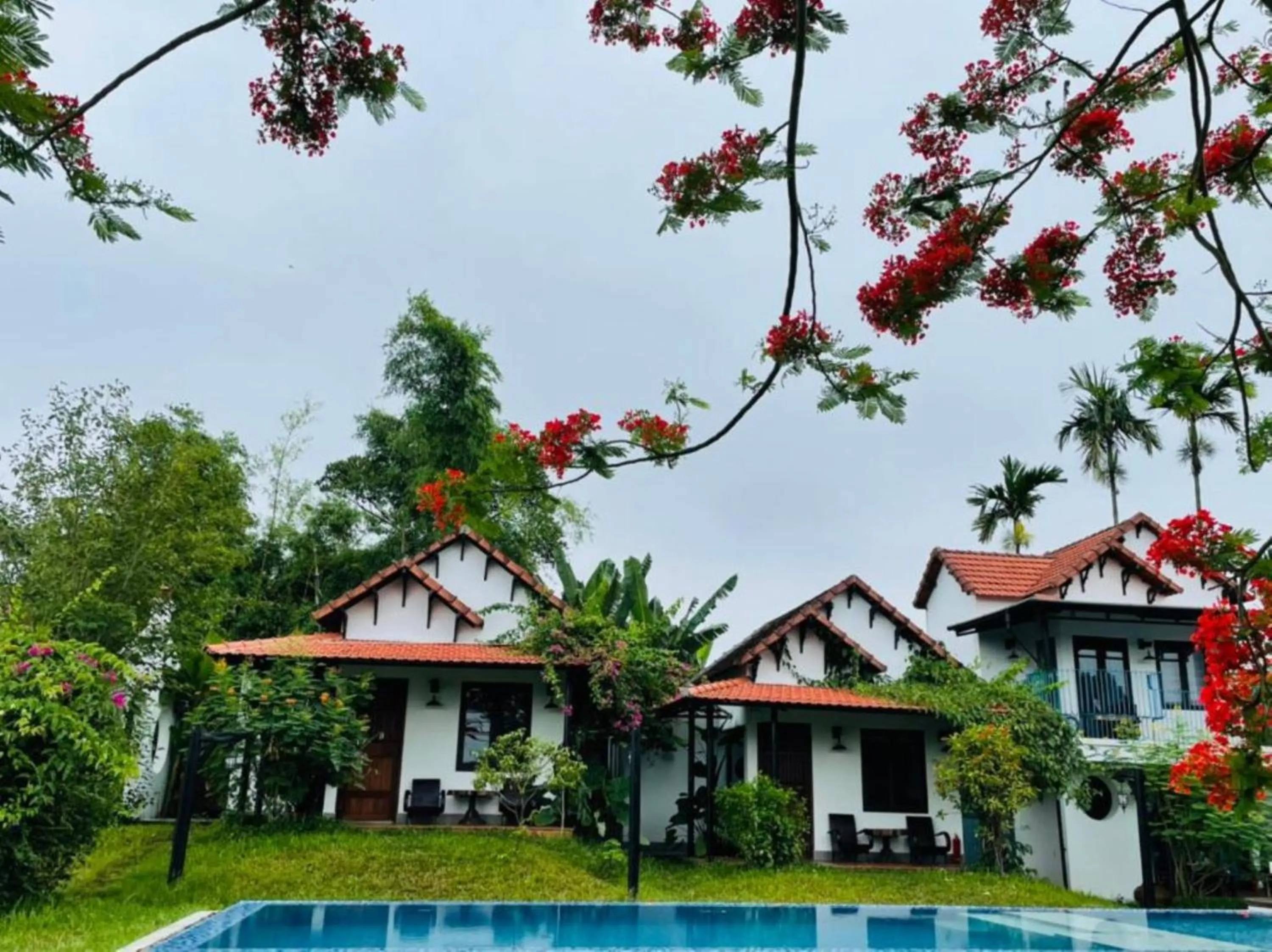 Swimming pool in La Y Riverview