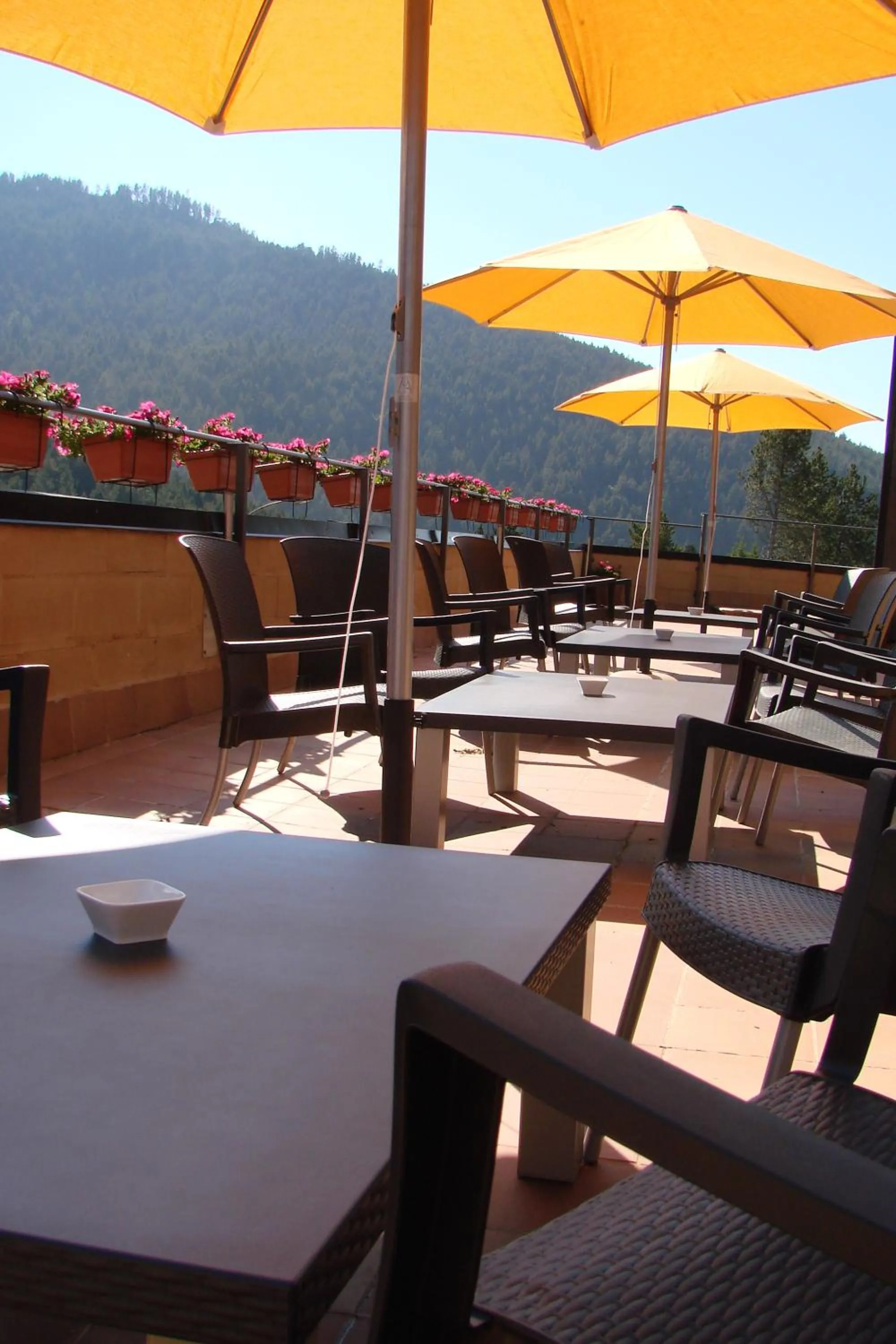 Spring in Apartamentos Solineu