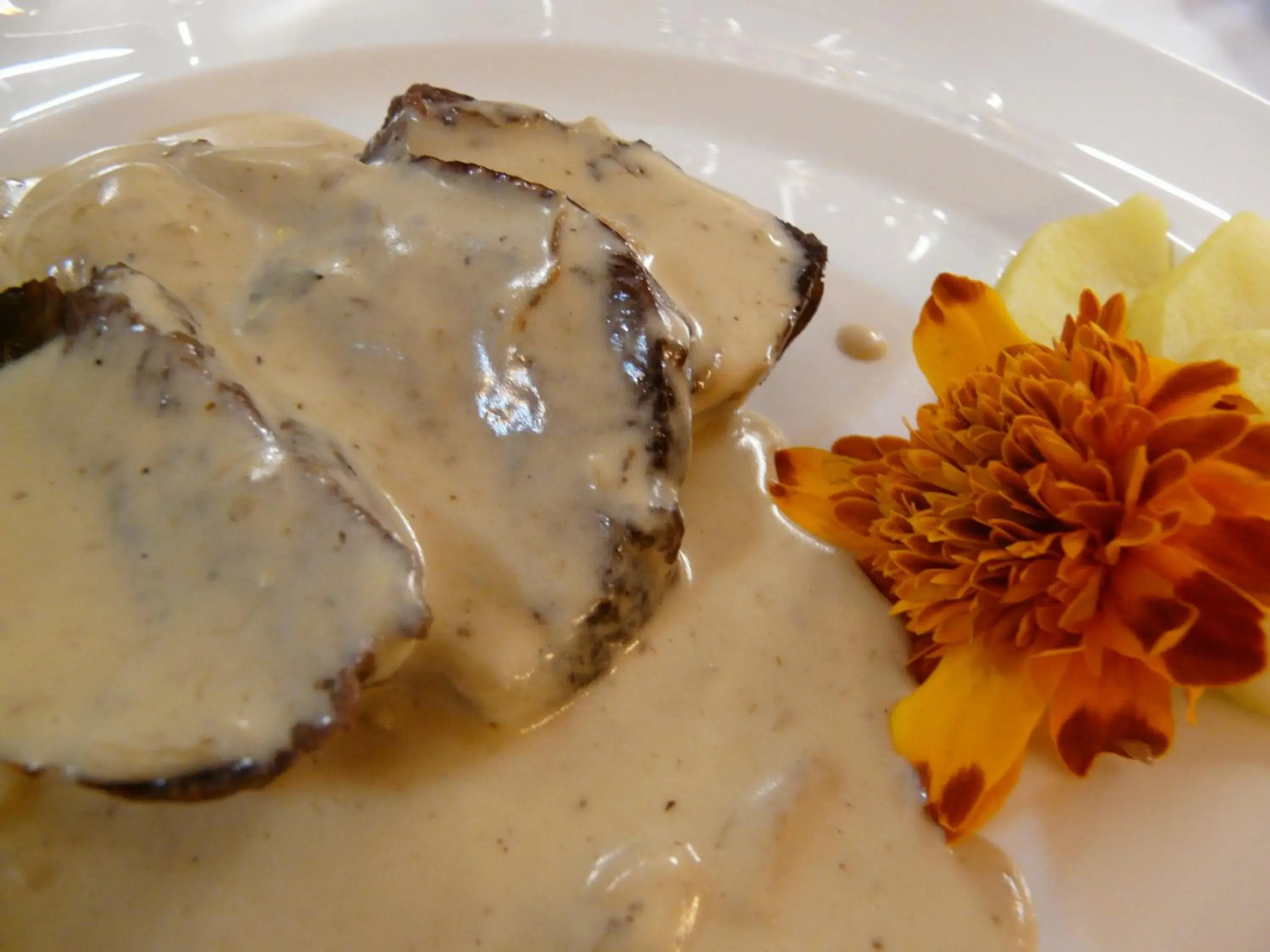 Food and drinks in Hotel Nice Food and drinks in Hotel Nice