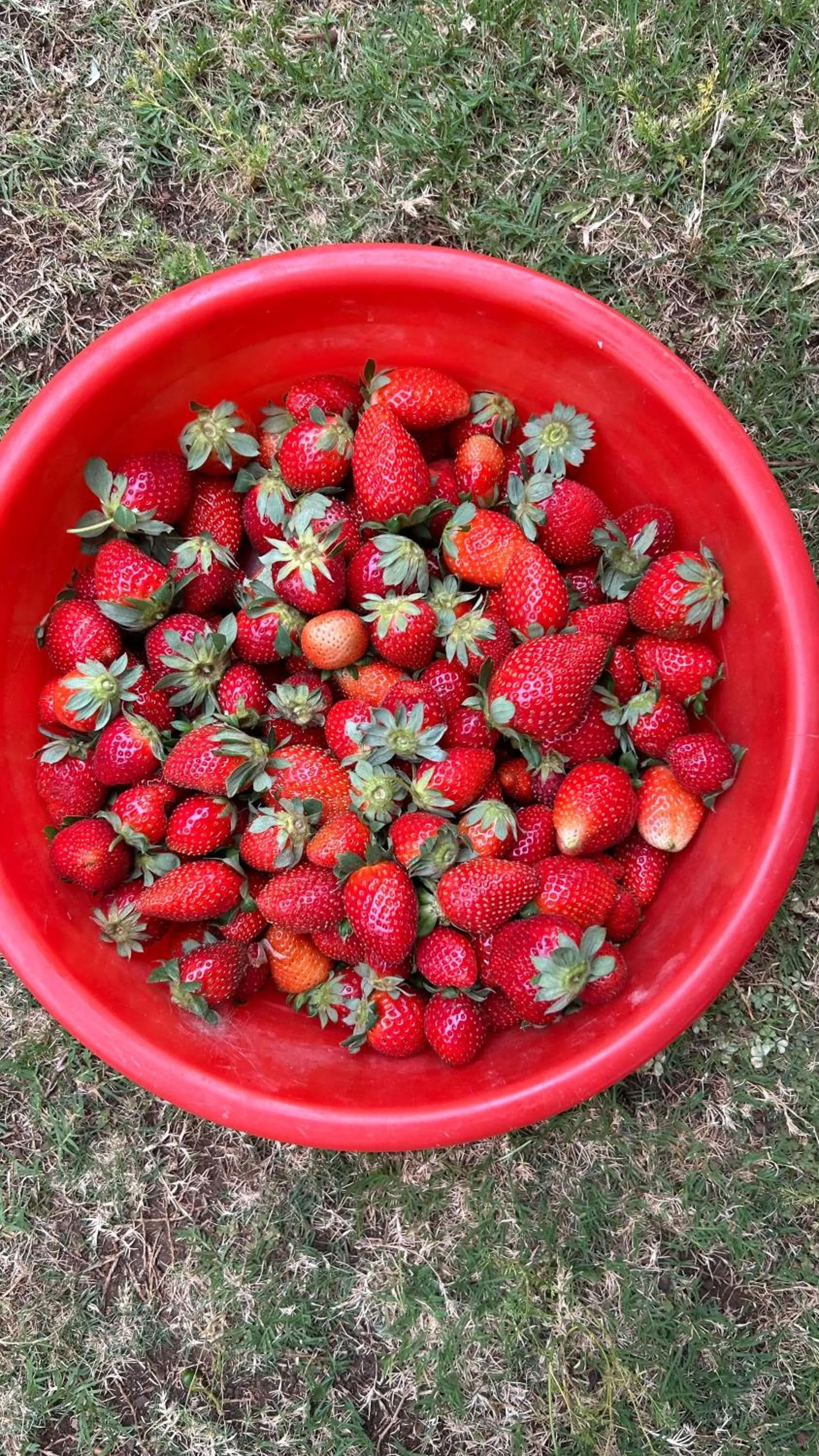 Sai Leela Bungalow - Villa with Private Pool