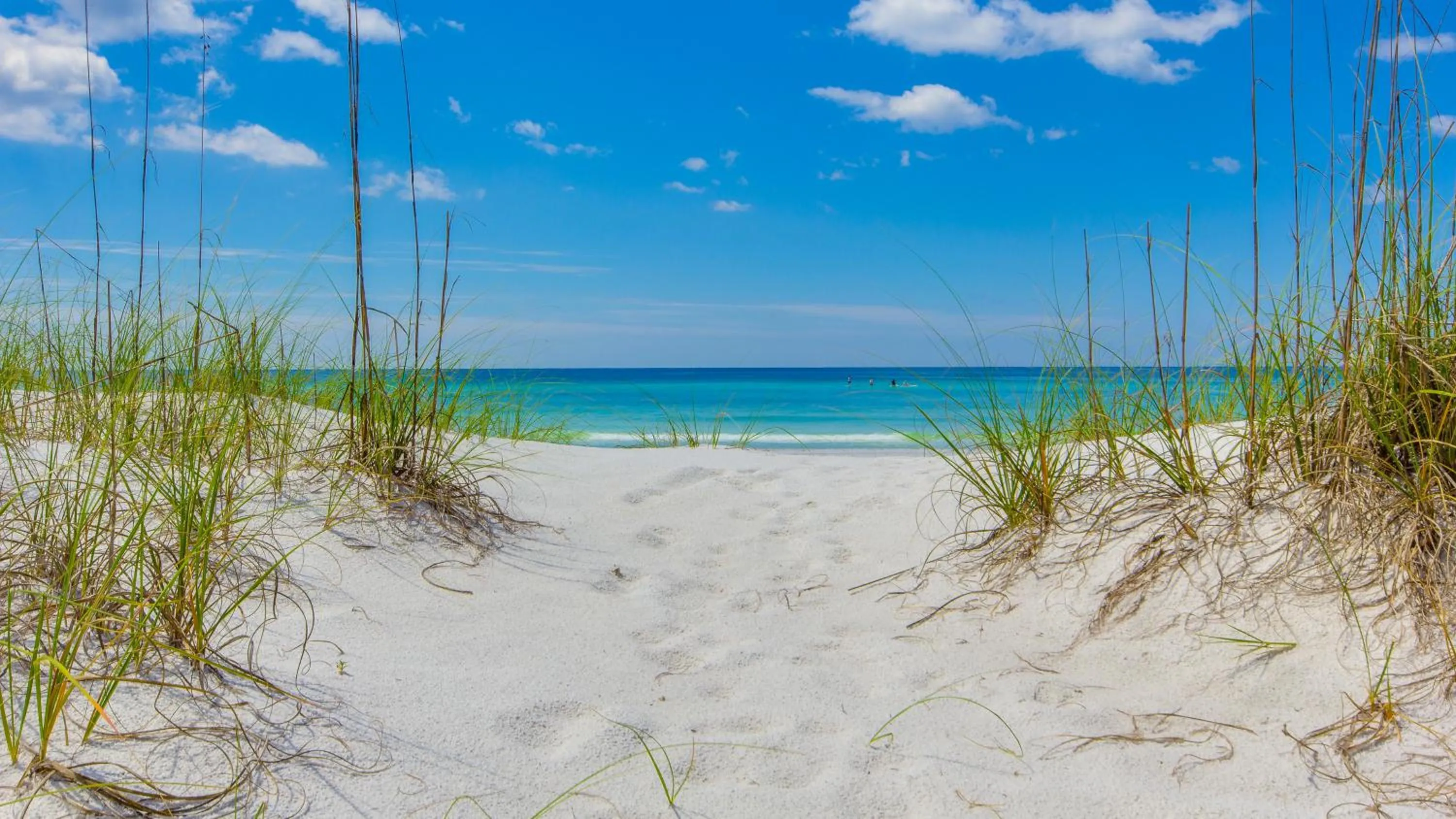 Beautiful 5th Floor Aqua Resort unit with direct Ocean Views, Sleeps 8!