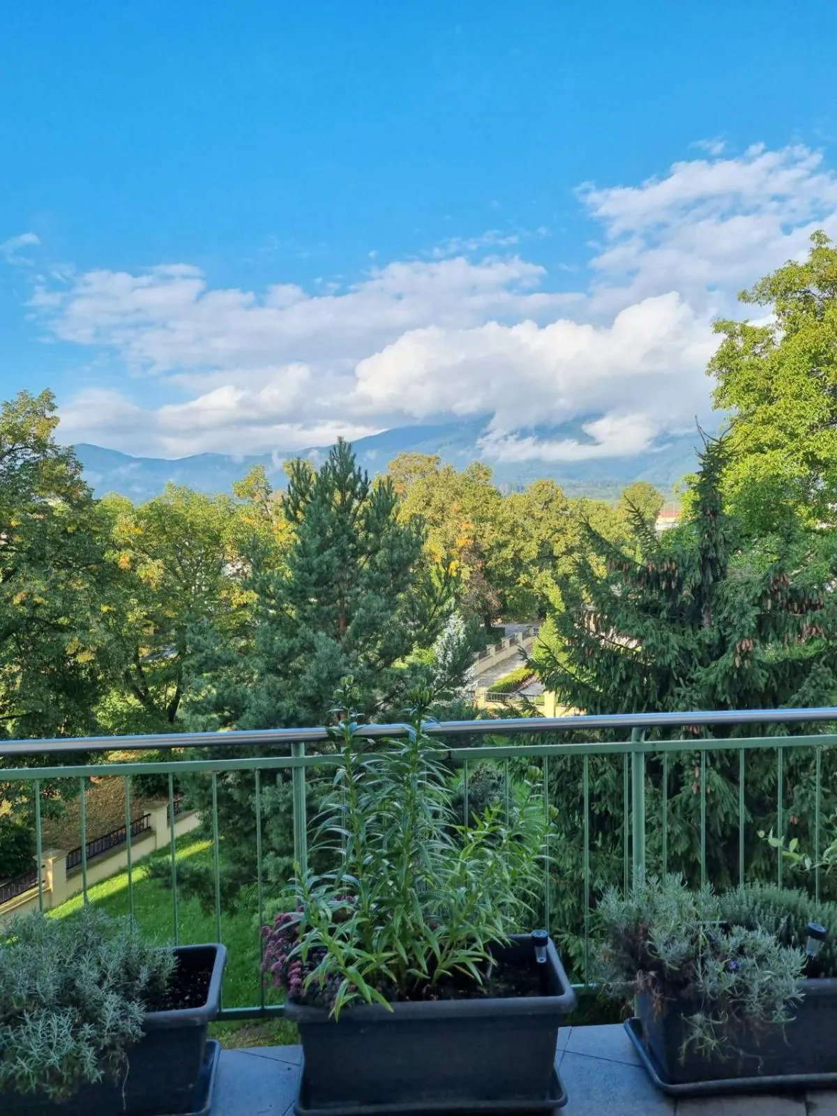 View (from property/room) in Central business apartment - FREE PARKING
