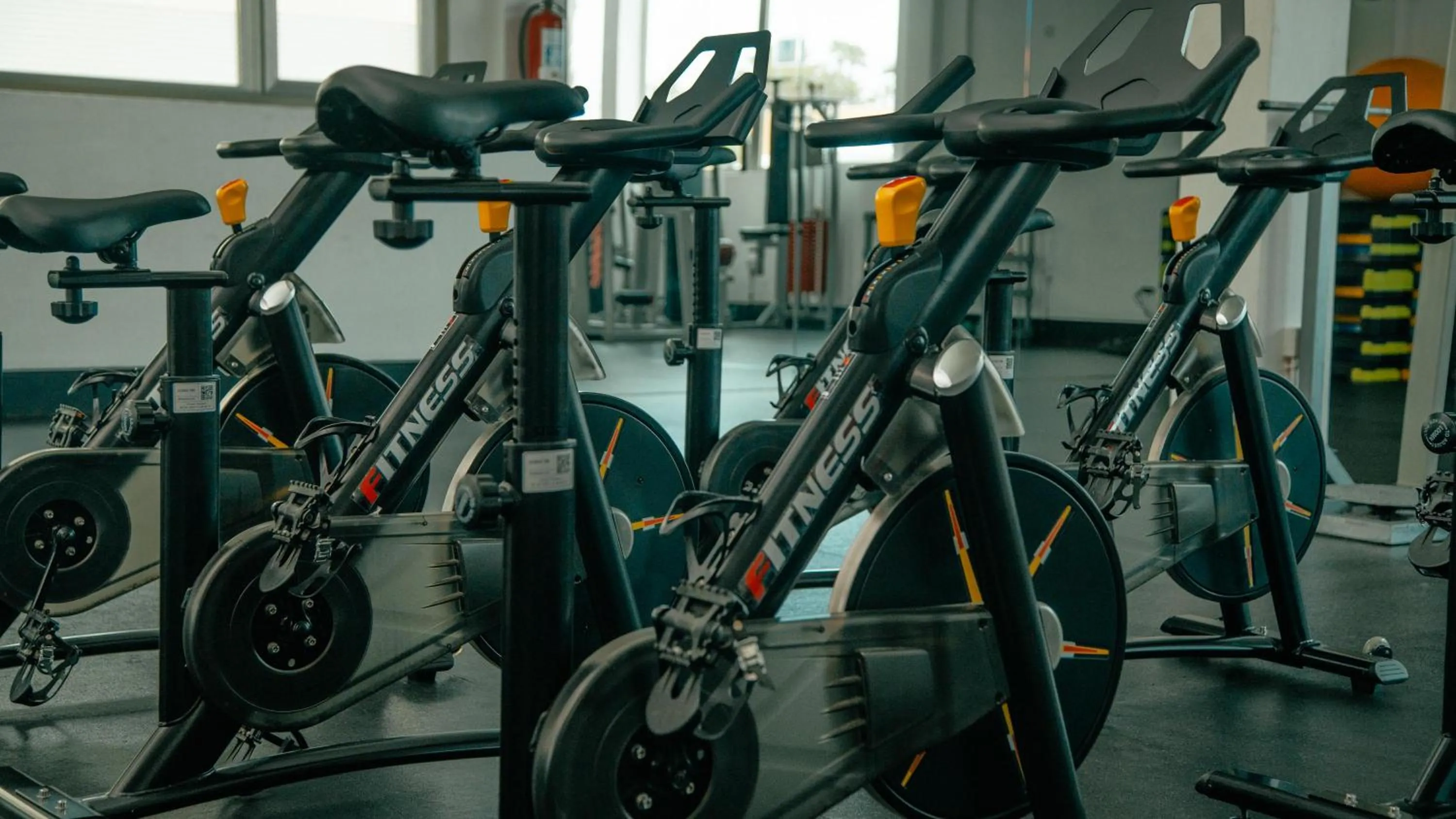 Activities in Labranda Bahía de Lobos