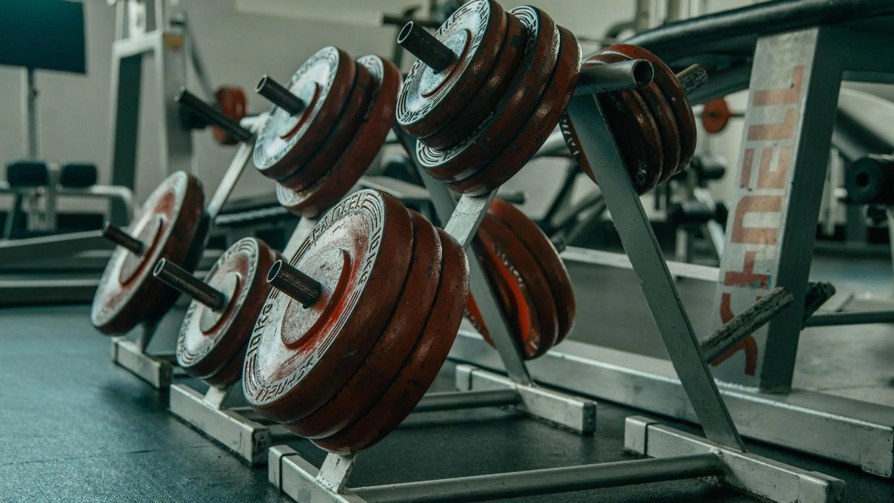 Activities in Labranda Bahía de Lobos