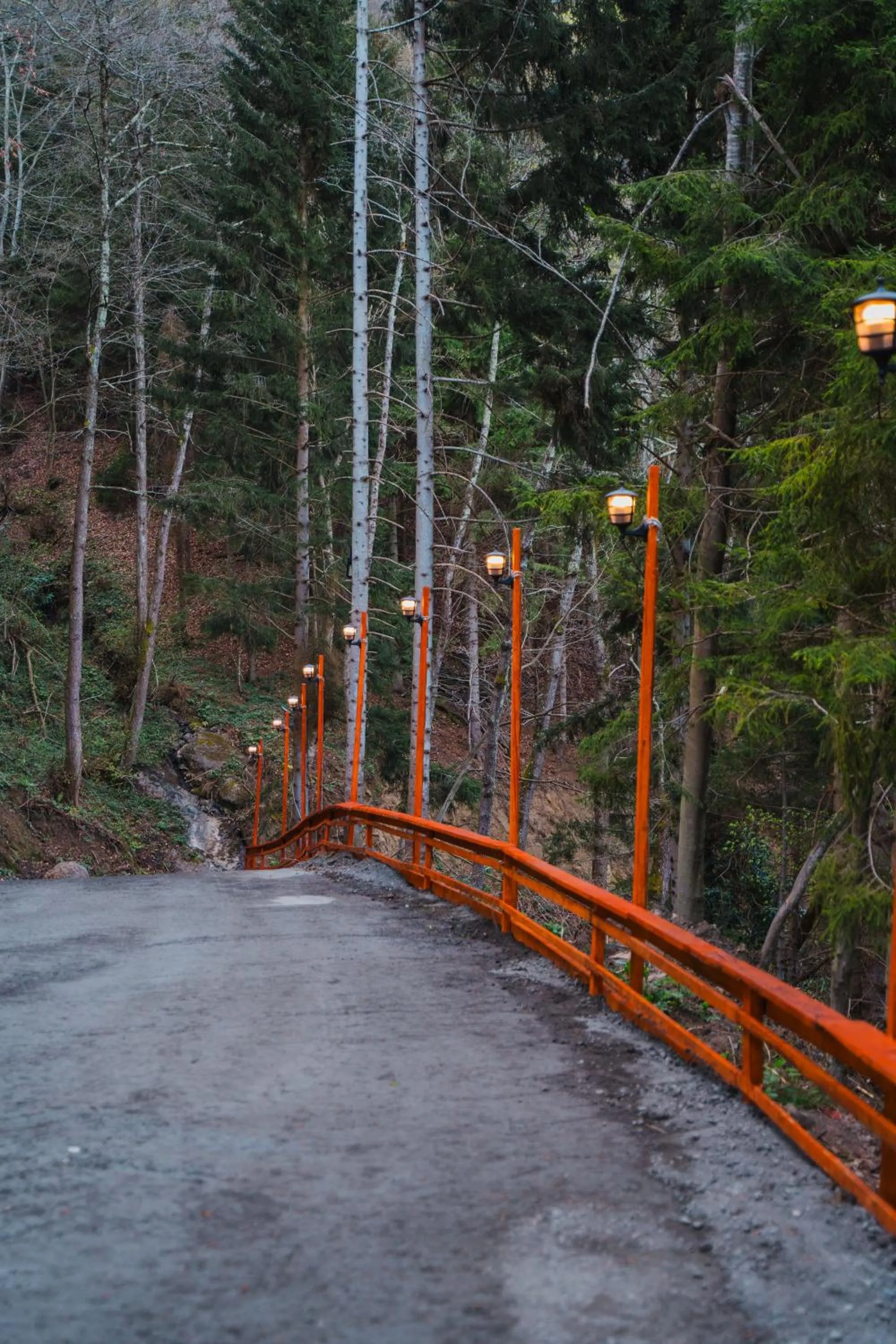 Natural landscape in Montana Suite Bungalows