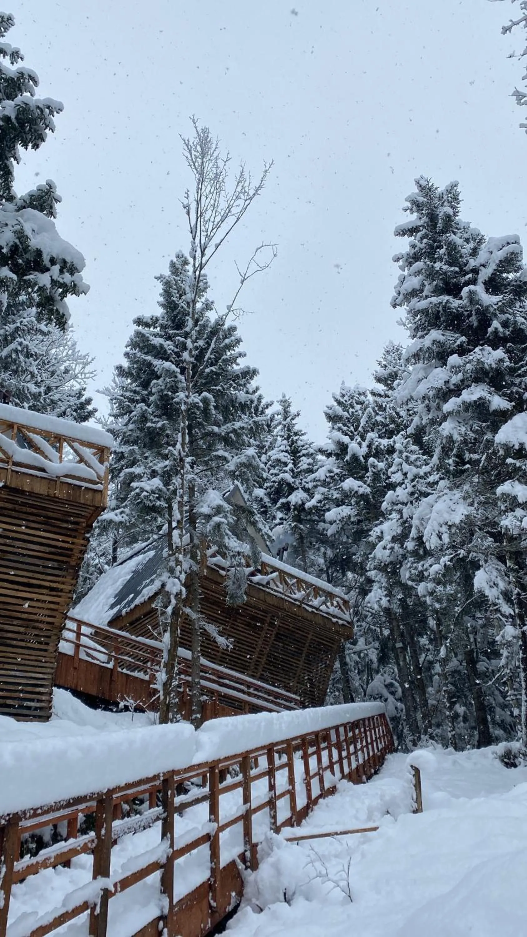 Natural landscape in Montana Suite Bungalows