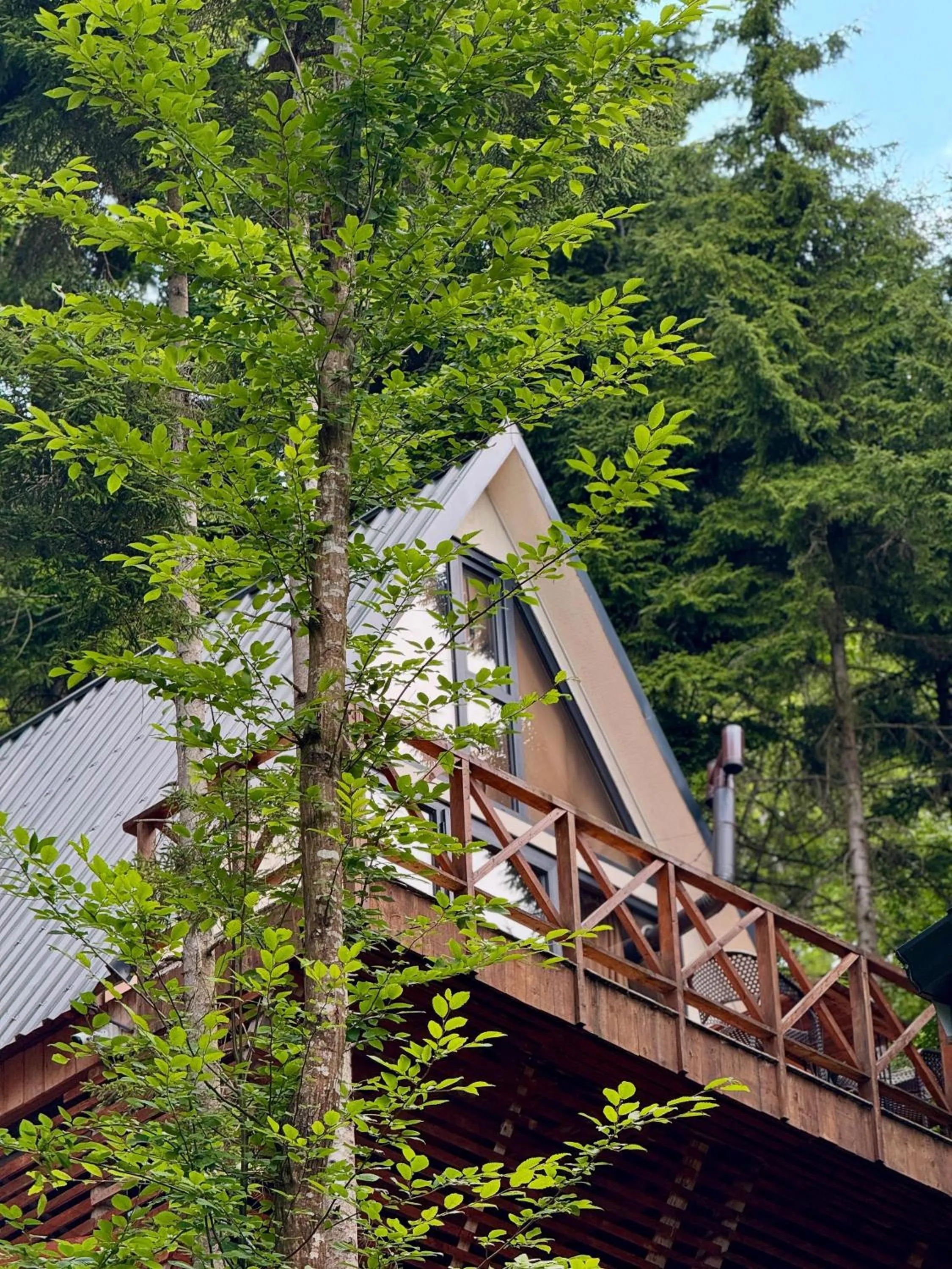 Property building in Montana Suite Bungalows