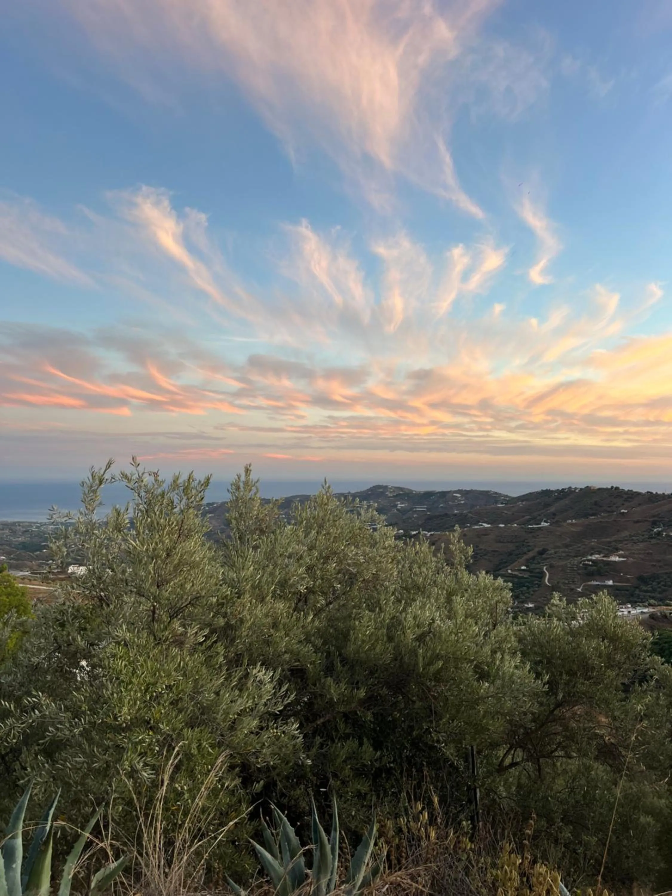 View (from property/room) in Posada Morisca Charming Hotel Boutique