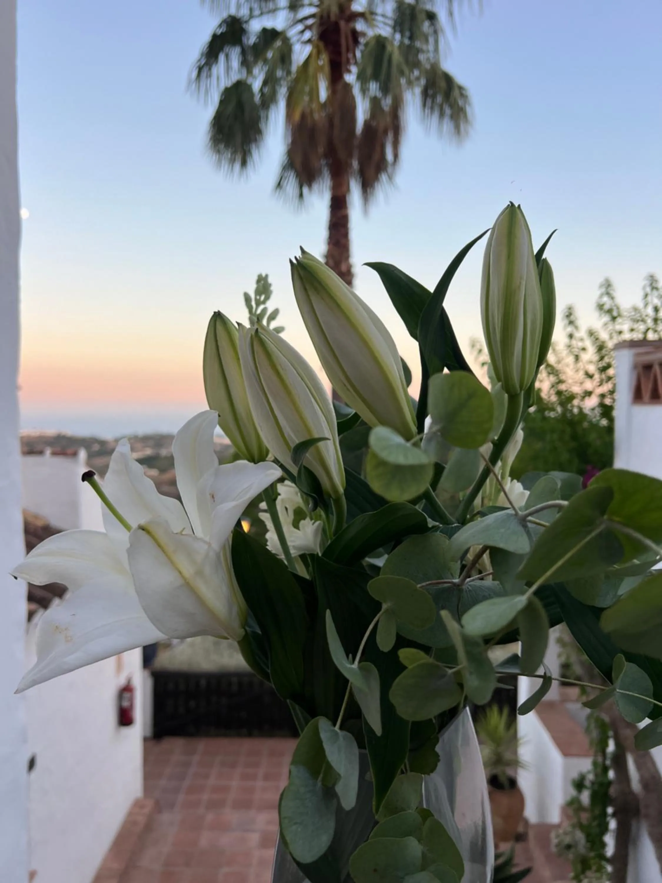 Property building in Posada Morisca Charming Hotel Boutique