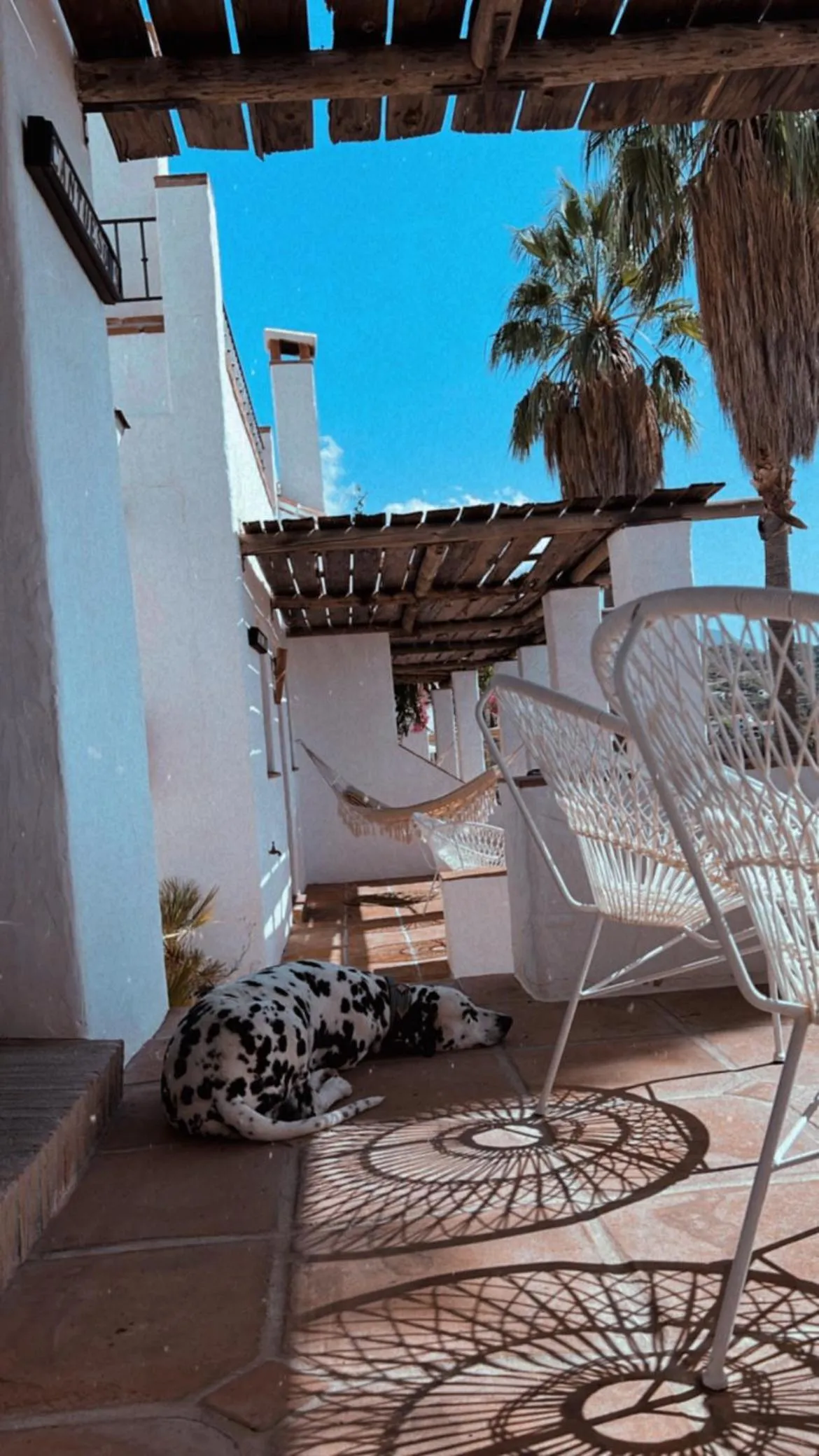 pet friendly in Posada Morisca Charming Hotel Boutique