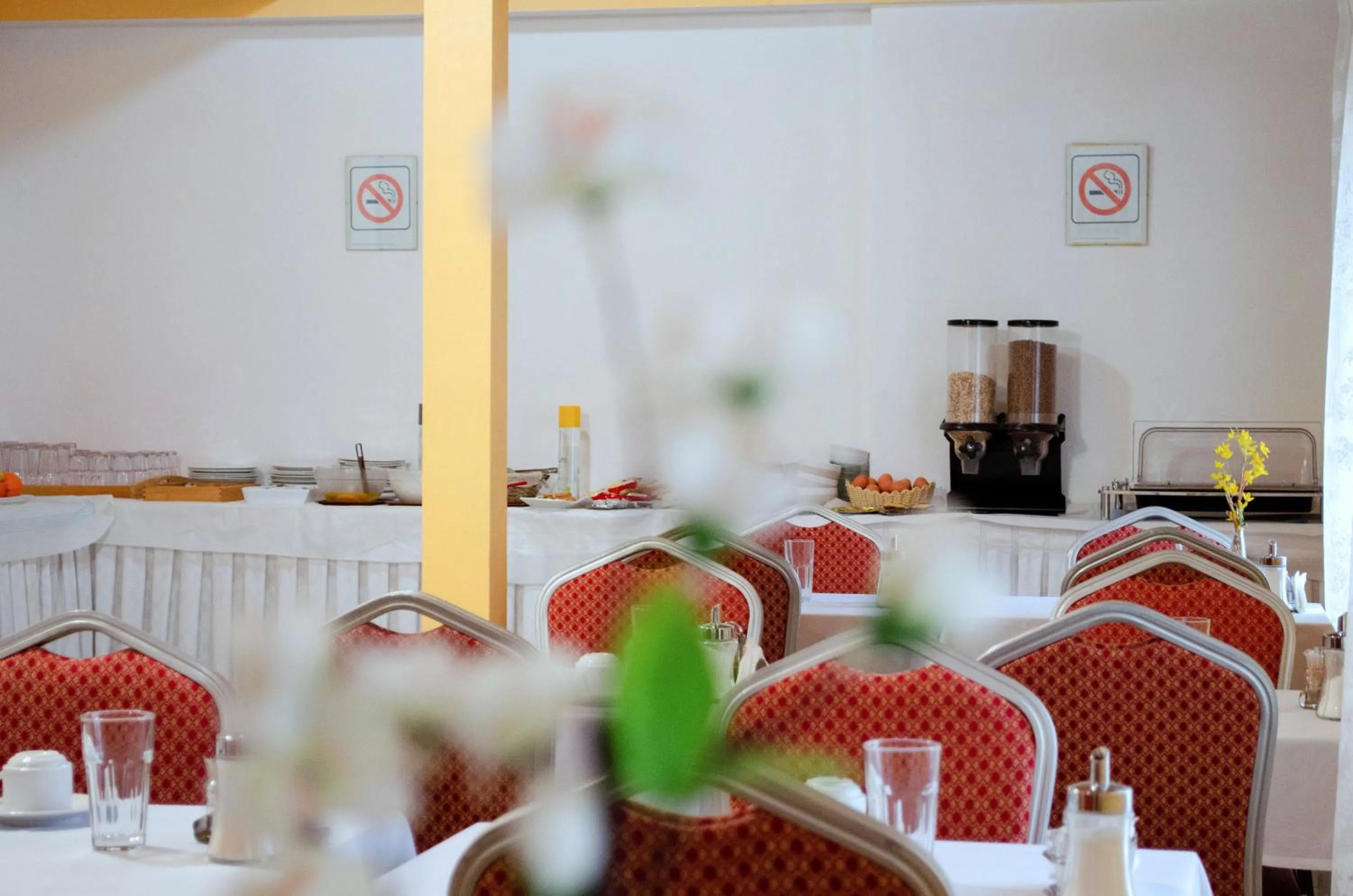 Breakfast in Nea Metropolis