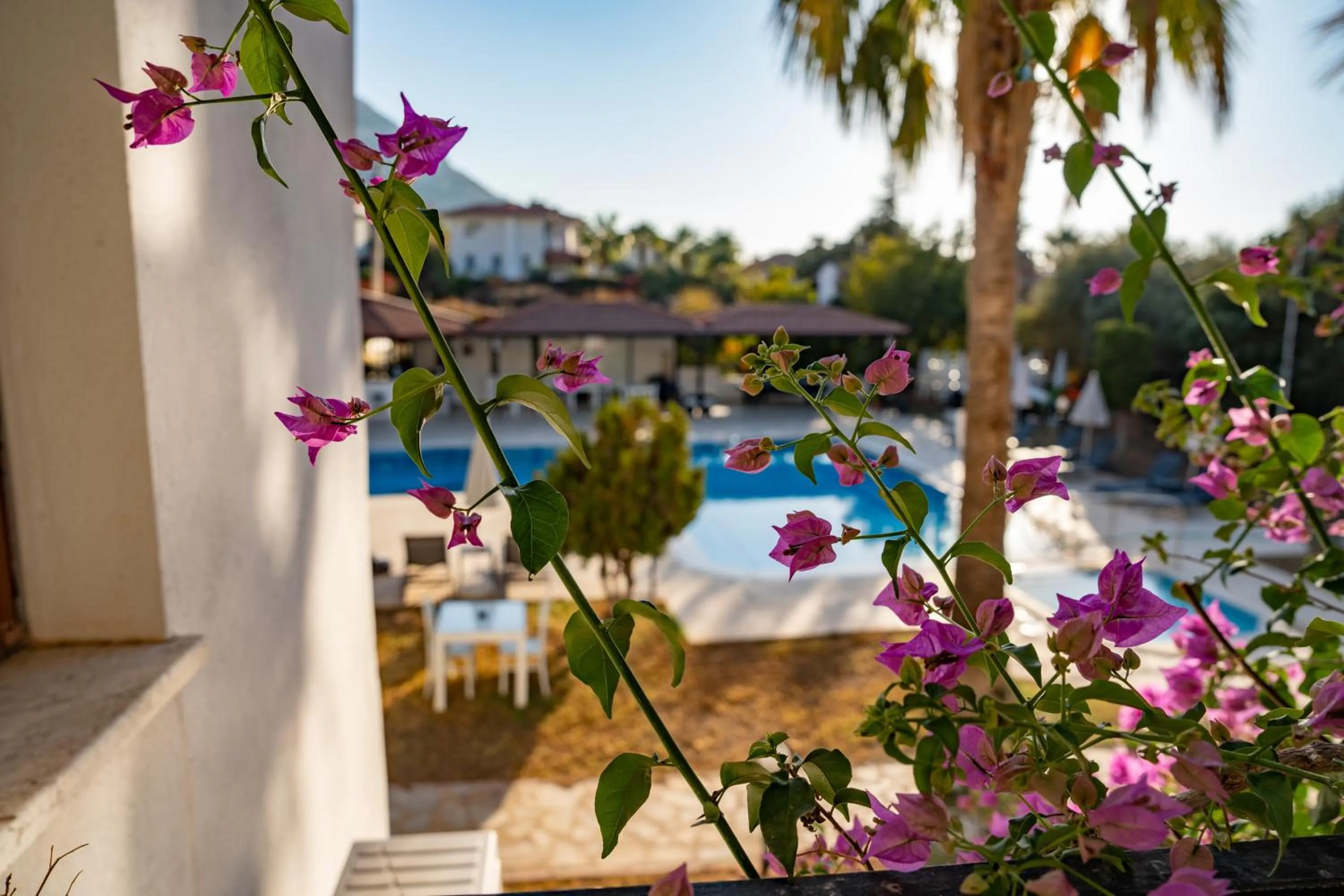 Spring in Carrington Suites