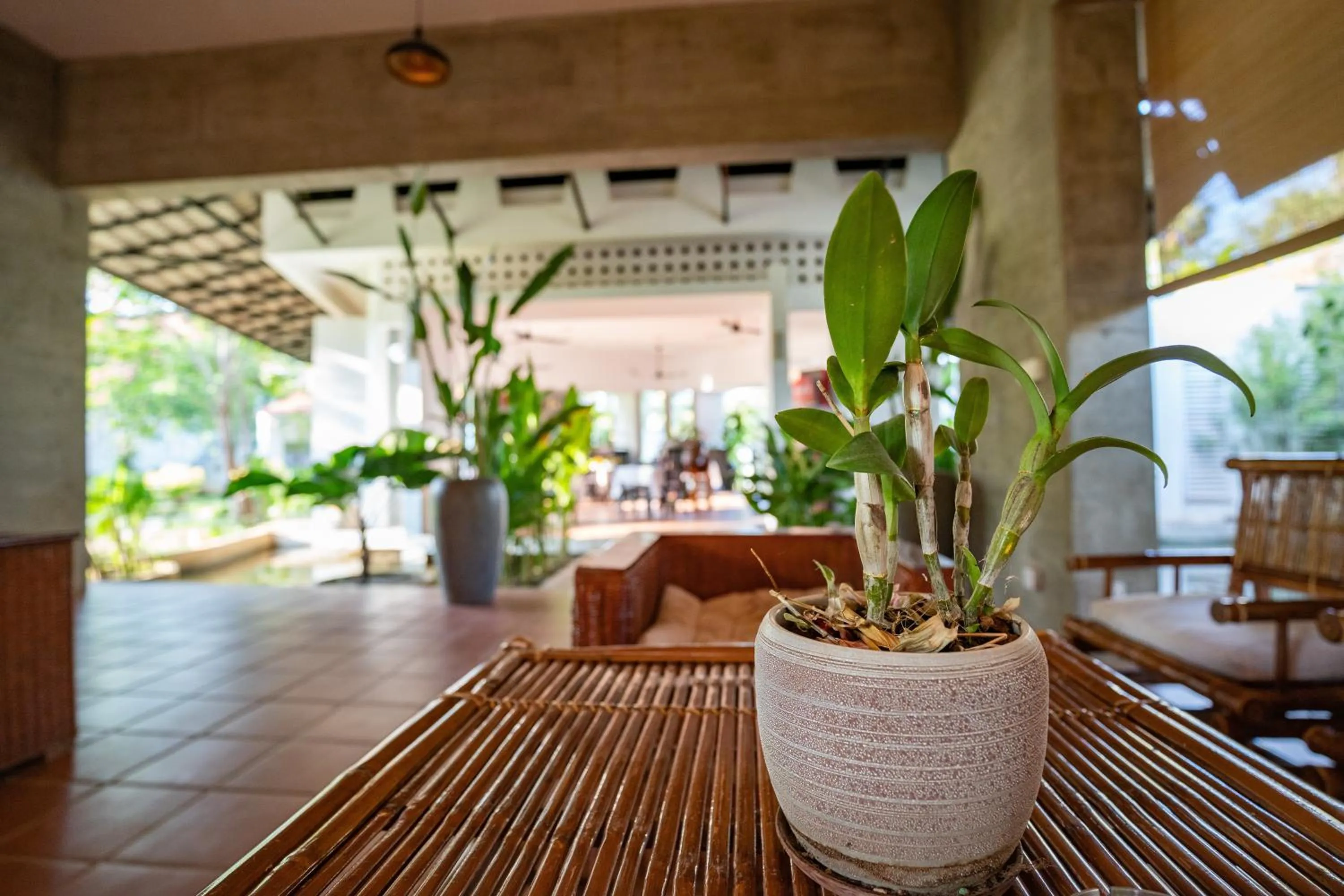 Restaurant/places to eat in Amazing Smile Angkor Resort