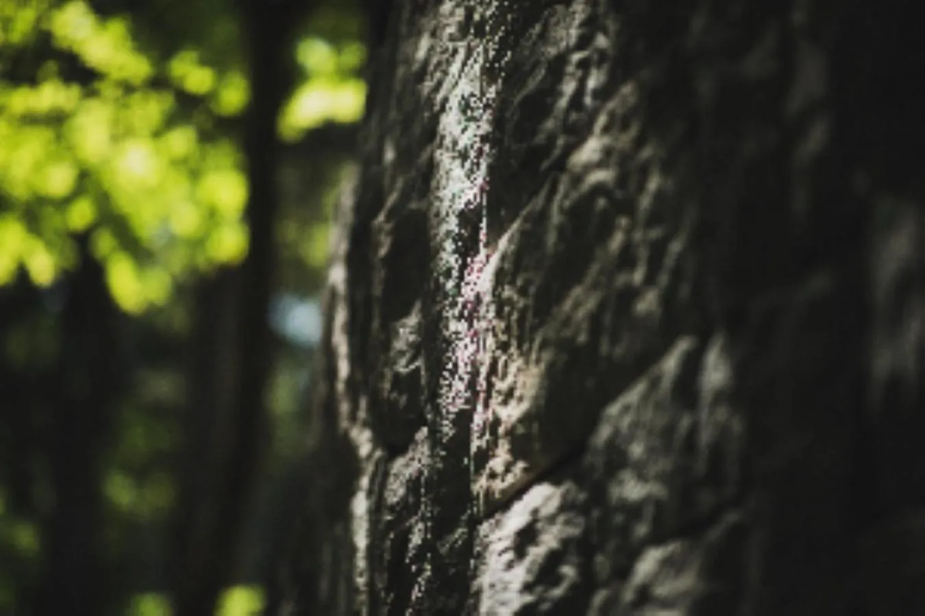 Natural landscape in Nikko Nishimachi Club