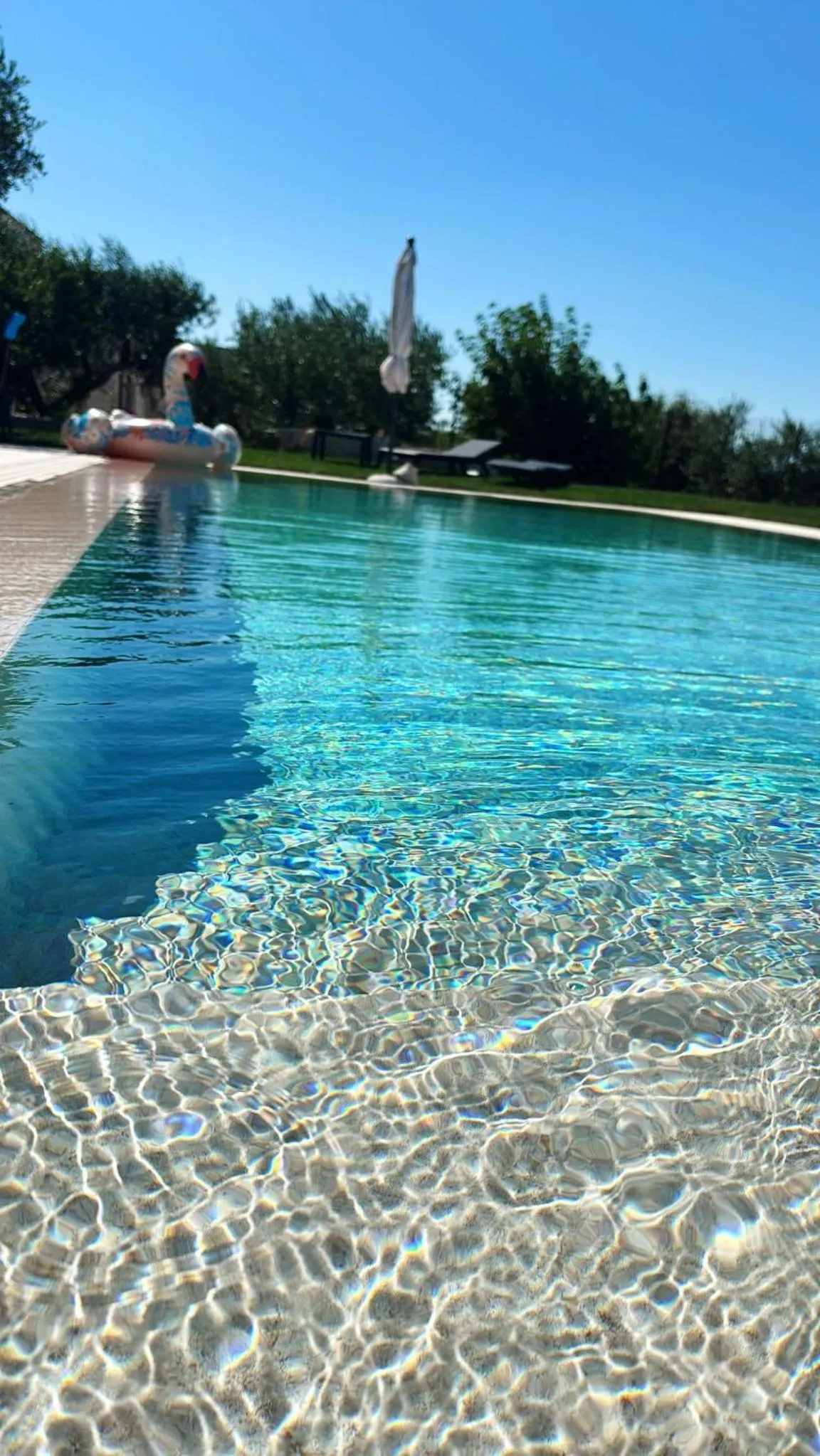 Swimming pool in B&B Villa Maggi