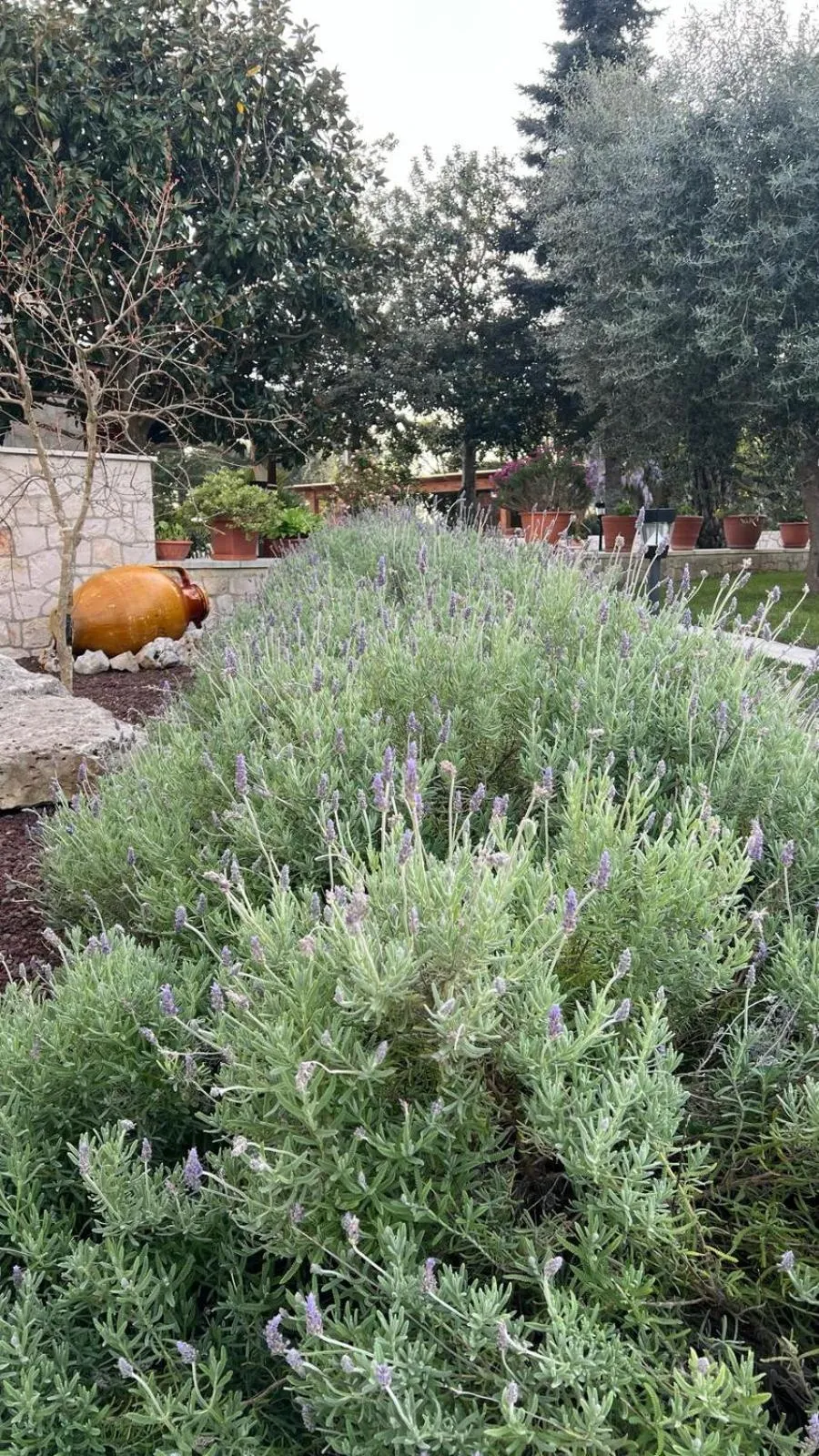 Spring in B&B Villa Maggi