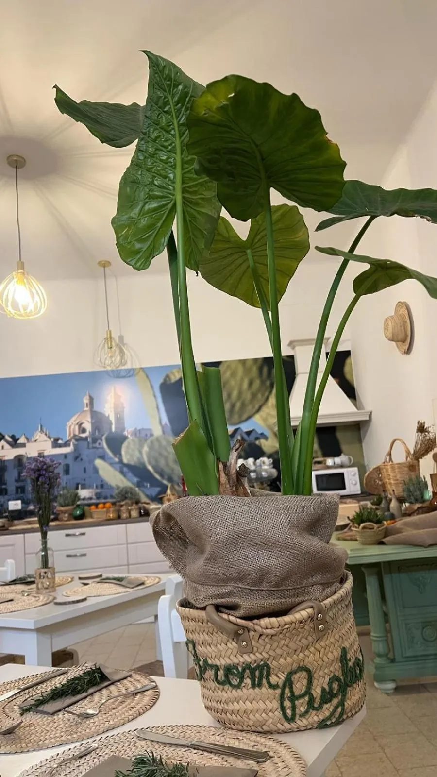 Lounge or bar in B&B Villa Maggi