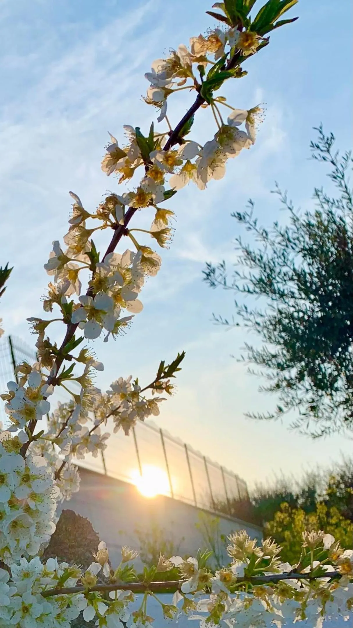 Property building in B&B Villa Maggi