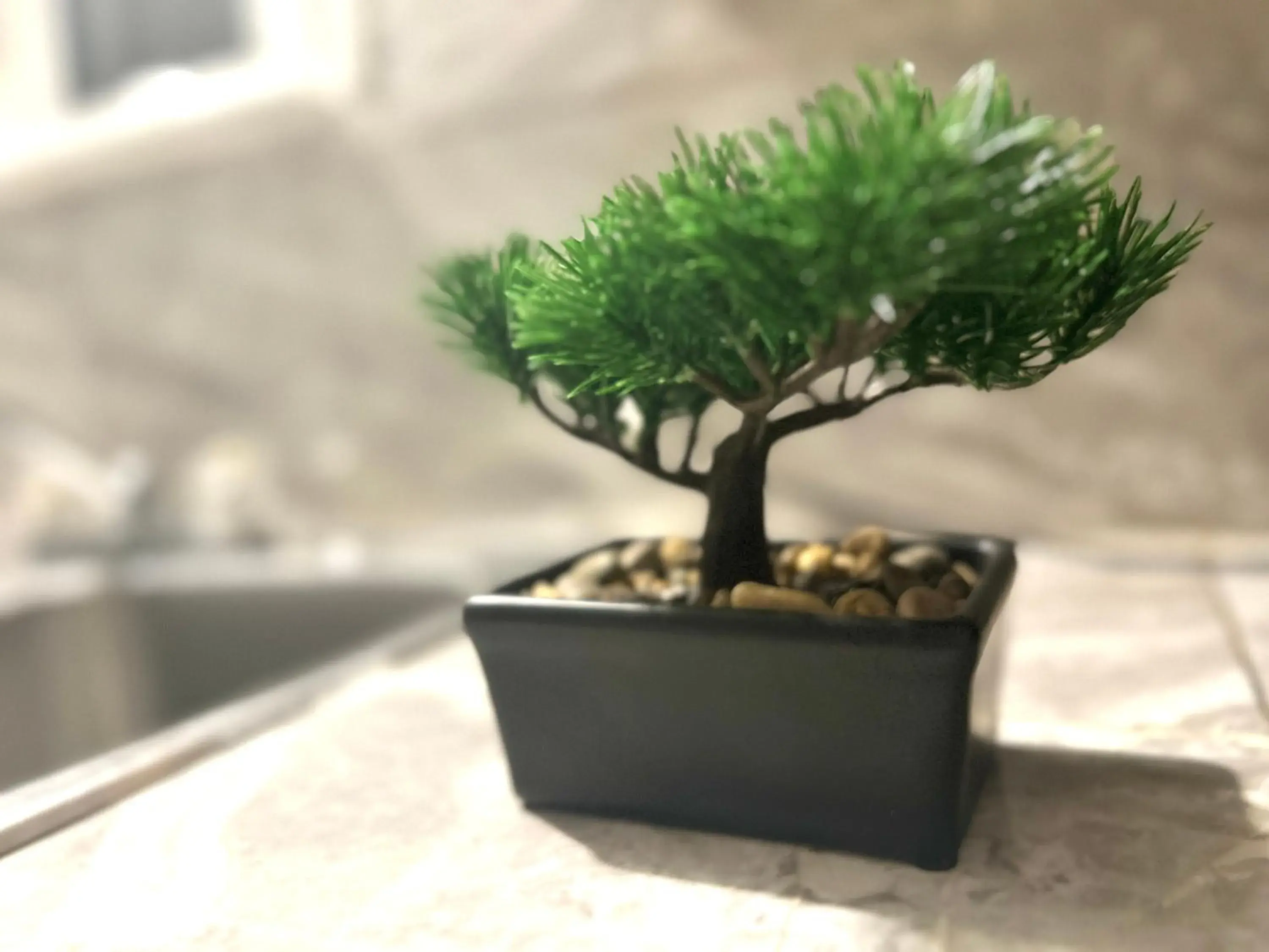 Property building in Albert Housing Property building in Albert Housing