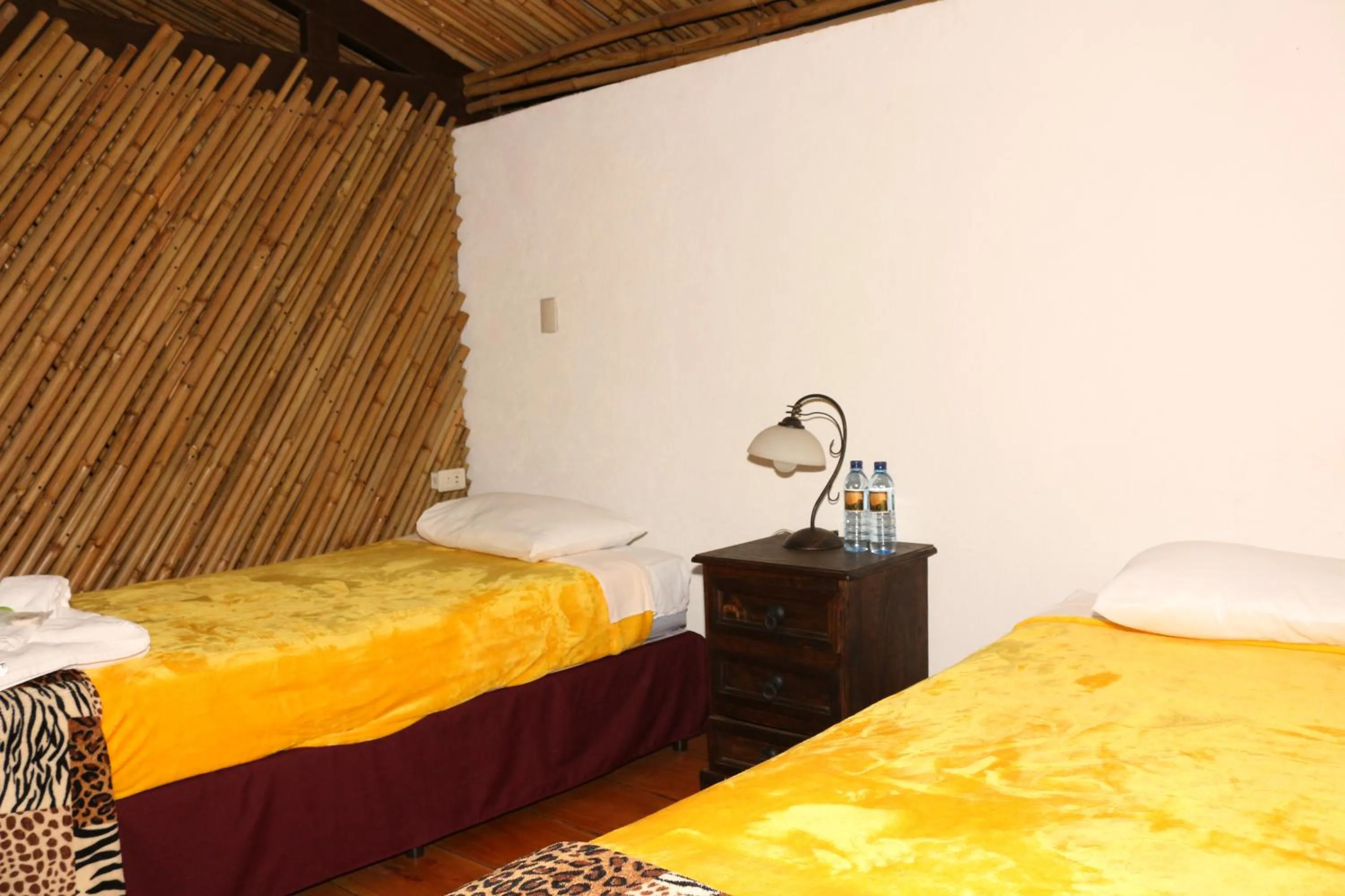 Bed in Hostal Casa Búho
