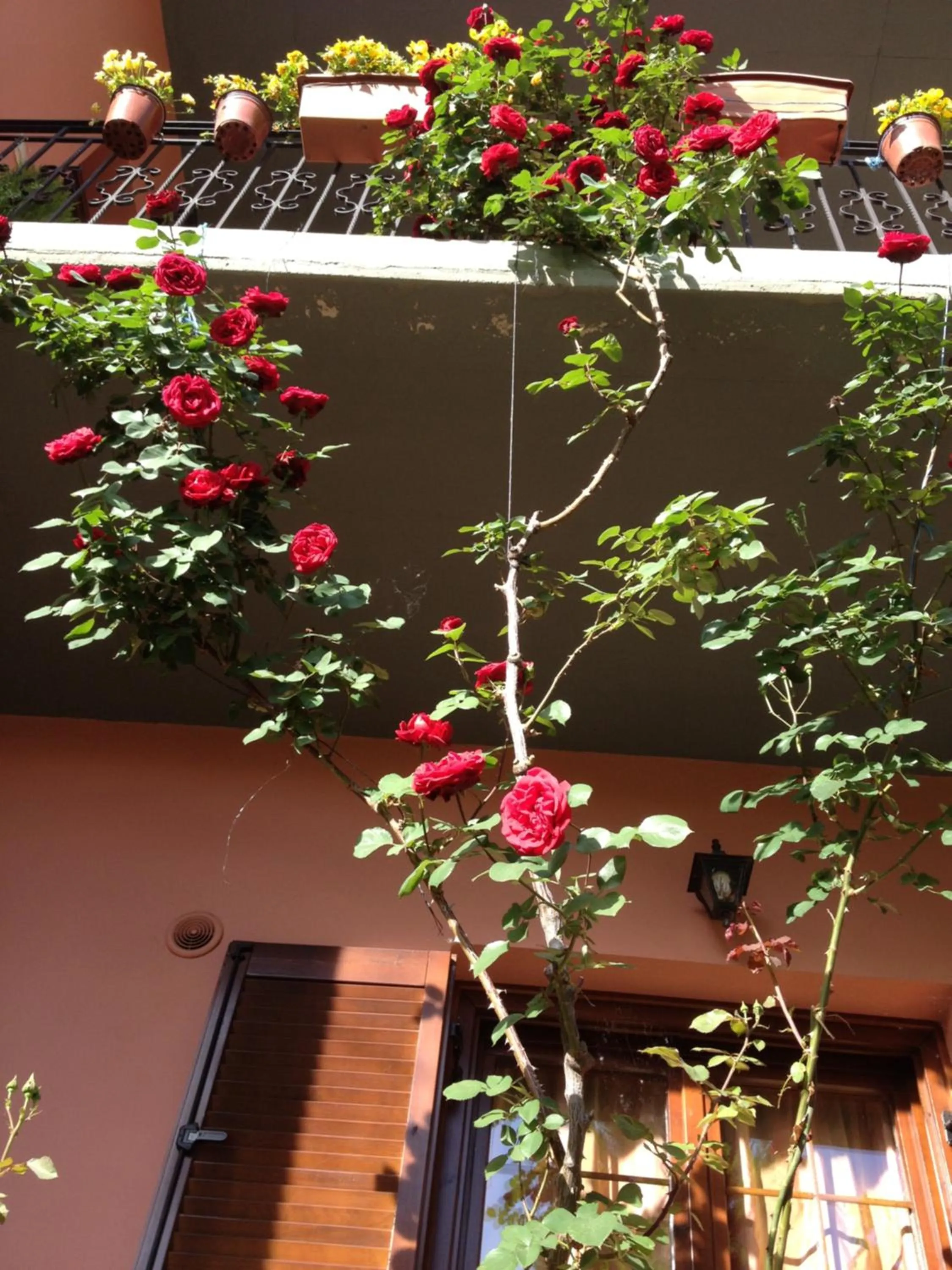 Facade/entrance in Artemis Apartments