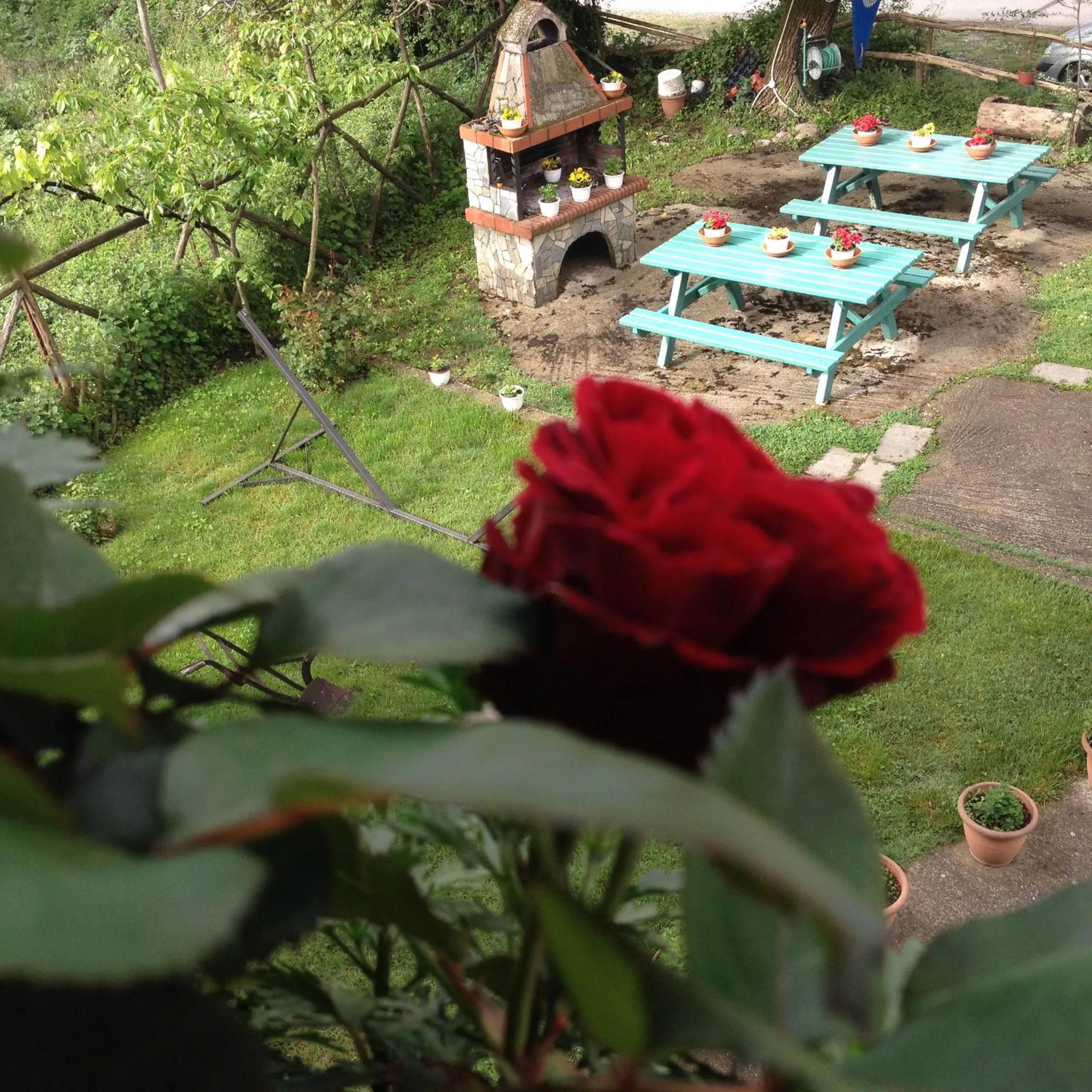 Garden view in Artemis Apartments