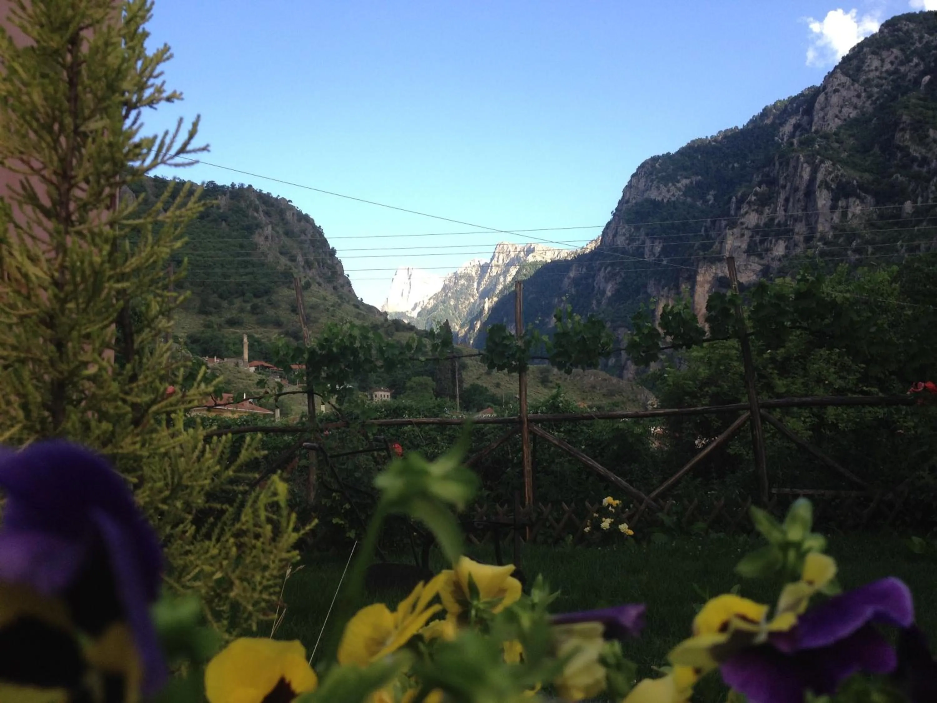 Garden in Artemis Apartments