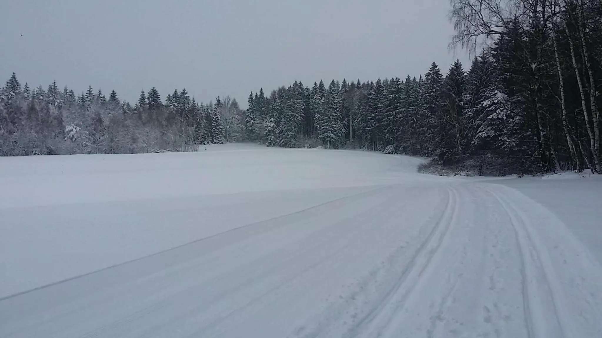 Natural landscape in Urlaubsdomizil Am Töpfer - Ferienwohnungen in Olbersdorf
