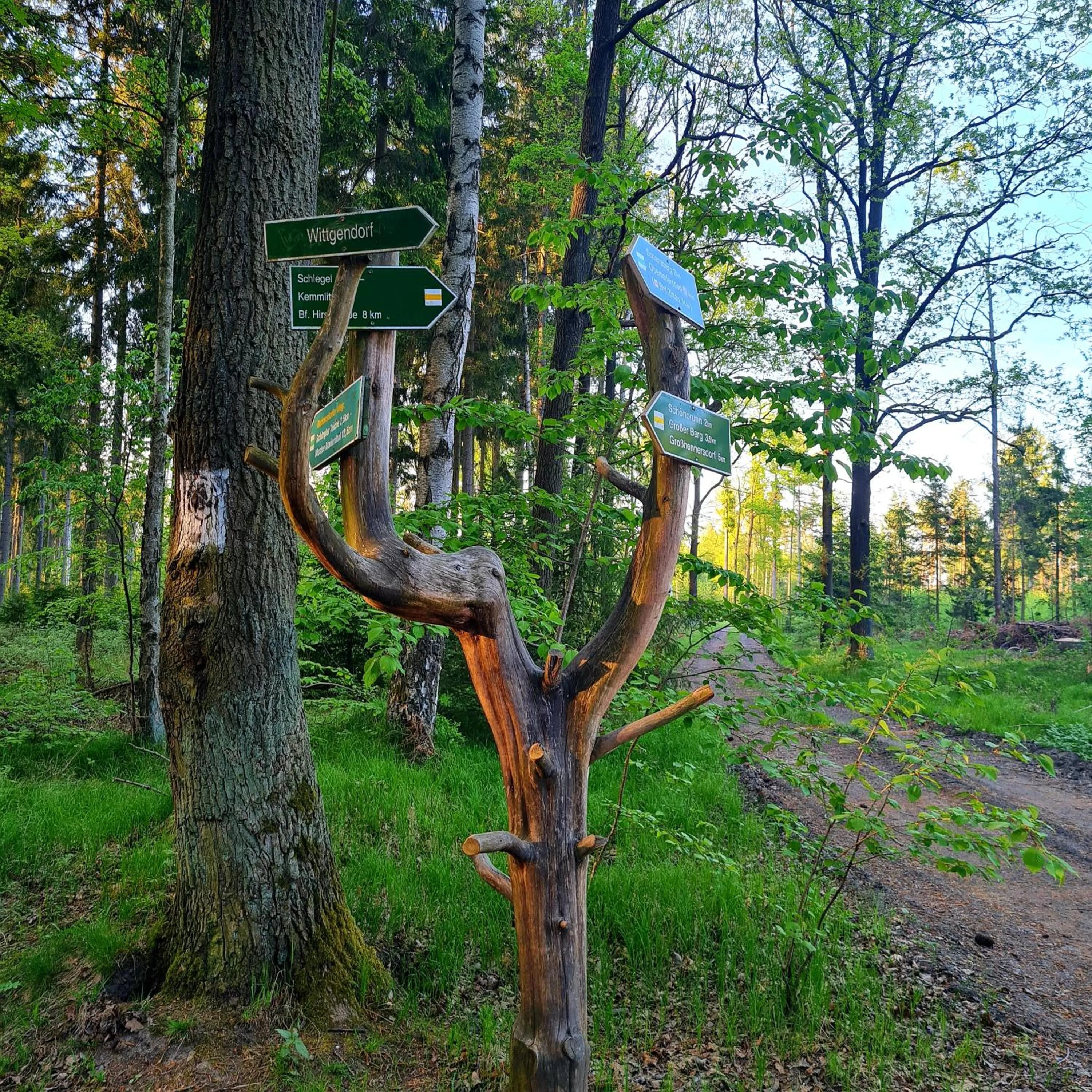 Natural landscape in Urlaubsdomizil Am Töpfer - Ferienwohnungen in Olbersdorf