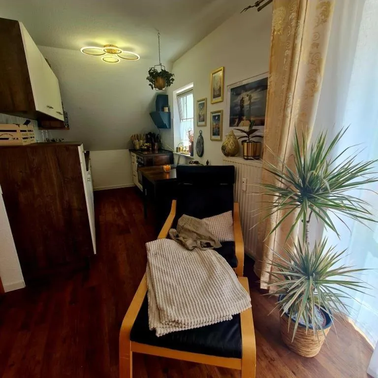 Kitchen or kitchenette in Urlaubsdomizil Am Töpfer - Ferienwohnungen in Olbersdorf
