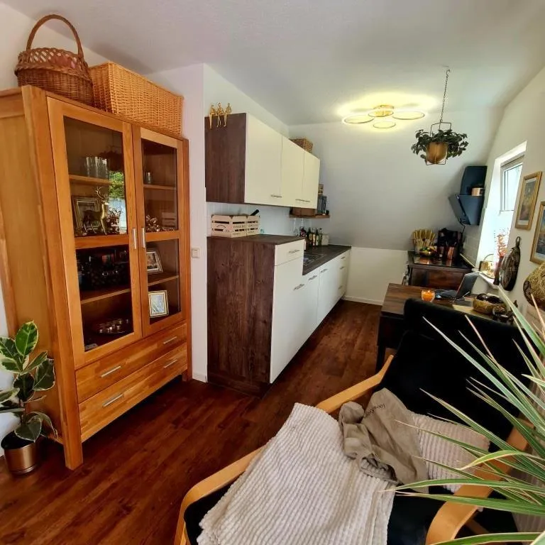 Kitchen or kitchenette in Urlaubsdomizil Am Töpfer - Ferienwohnungen in Olbersdorf