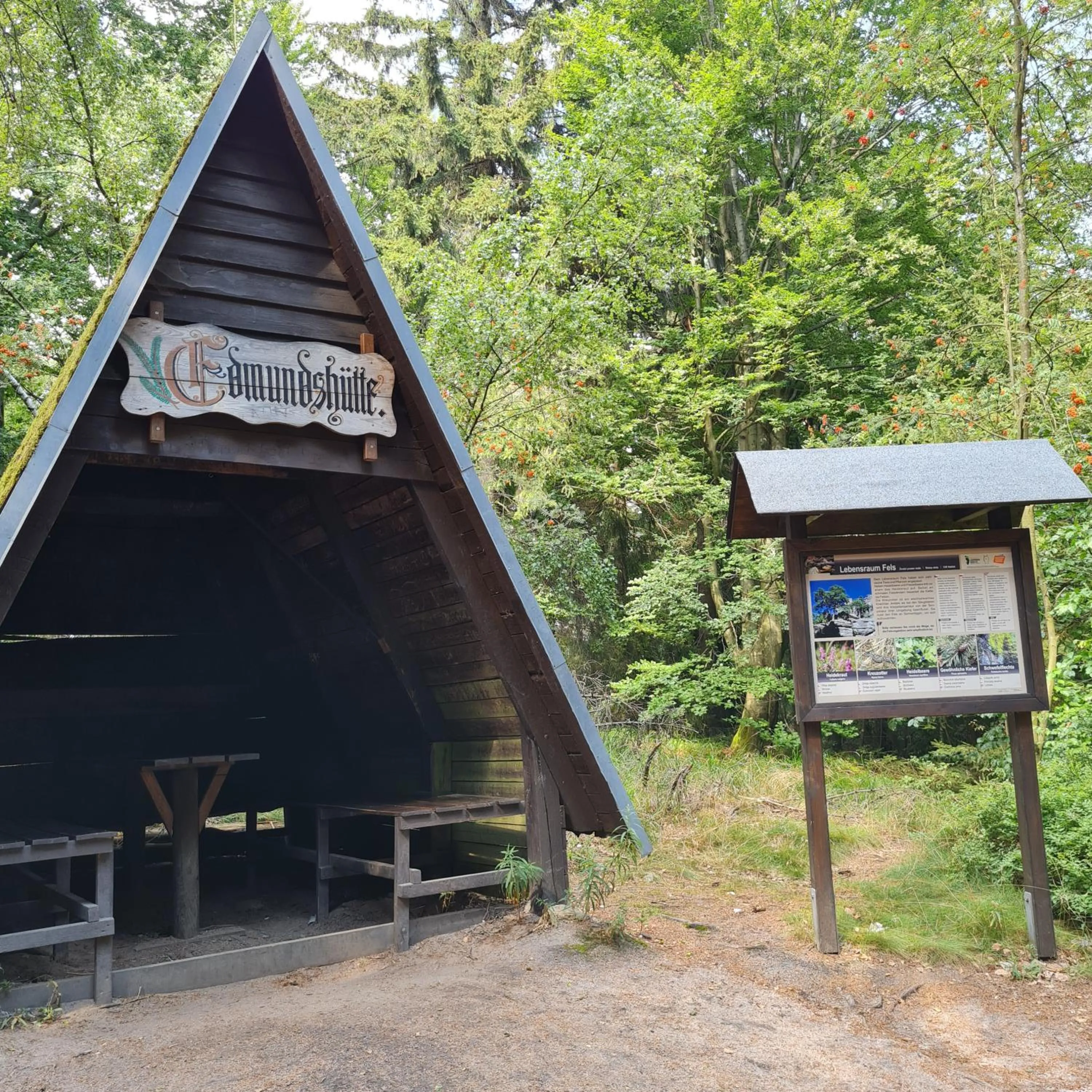 Spring in Urlaubsdomizil Am Töpfer - Ferienwohnungen in Olbersdorf